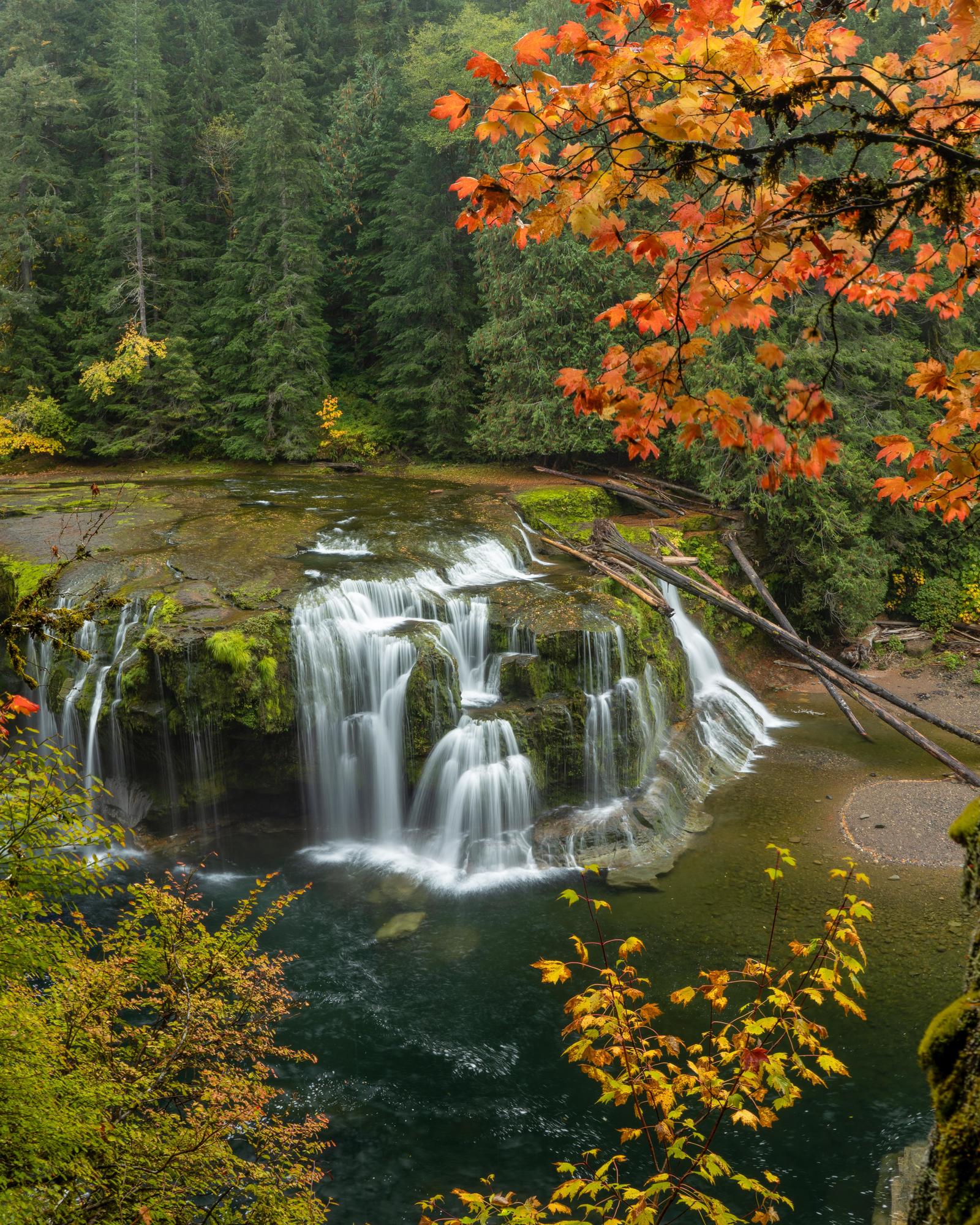 Gifford Pinchot Park, USA - Nature, beauty of nature, USA, The photo