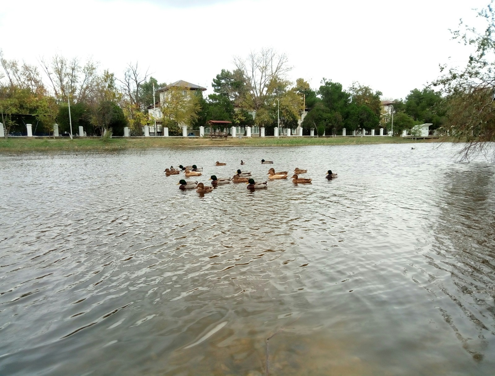 Anapa is beautiful in autumn - My, Anapa, Autumn, The photo, Sea, Storm, Longpost