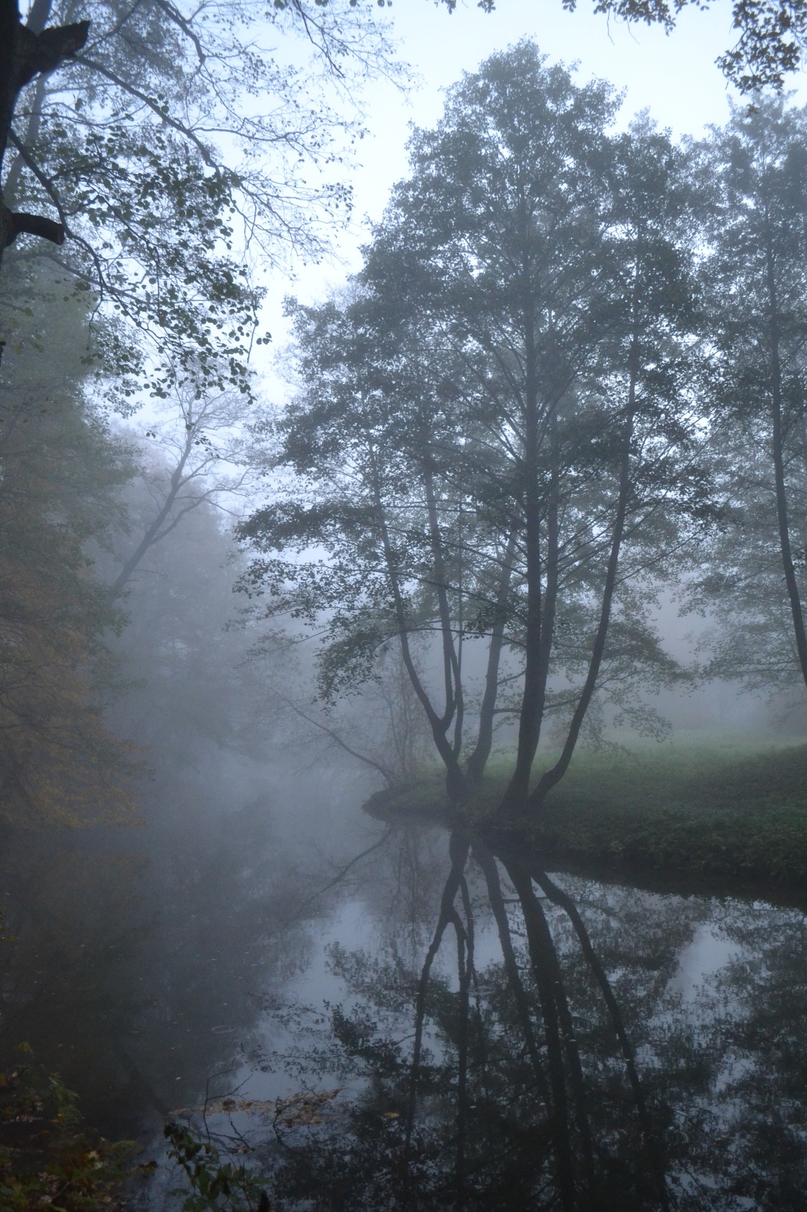 Minsk. Drozdy Park - My, The photo, Minsk, Autumn, Nikon, Longpost