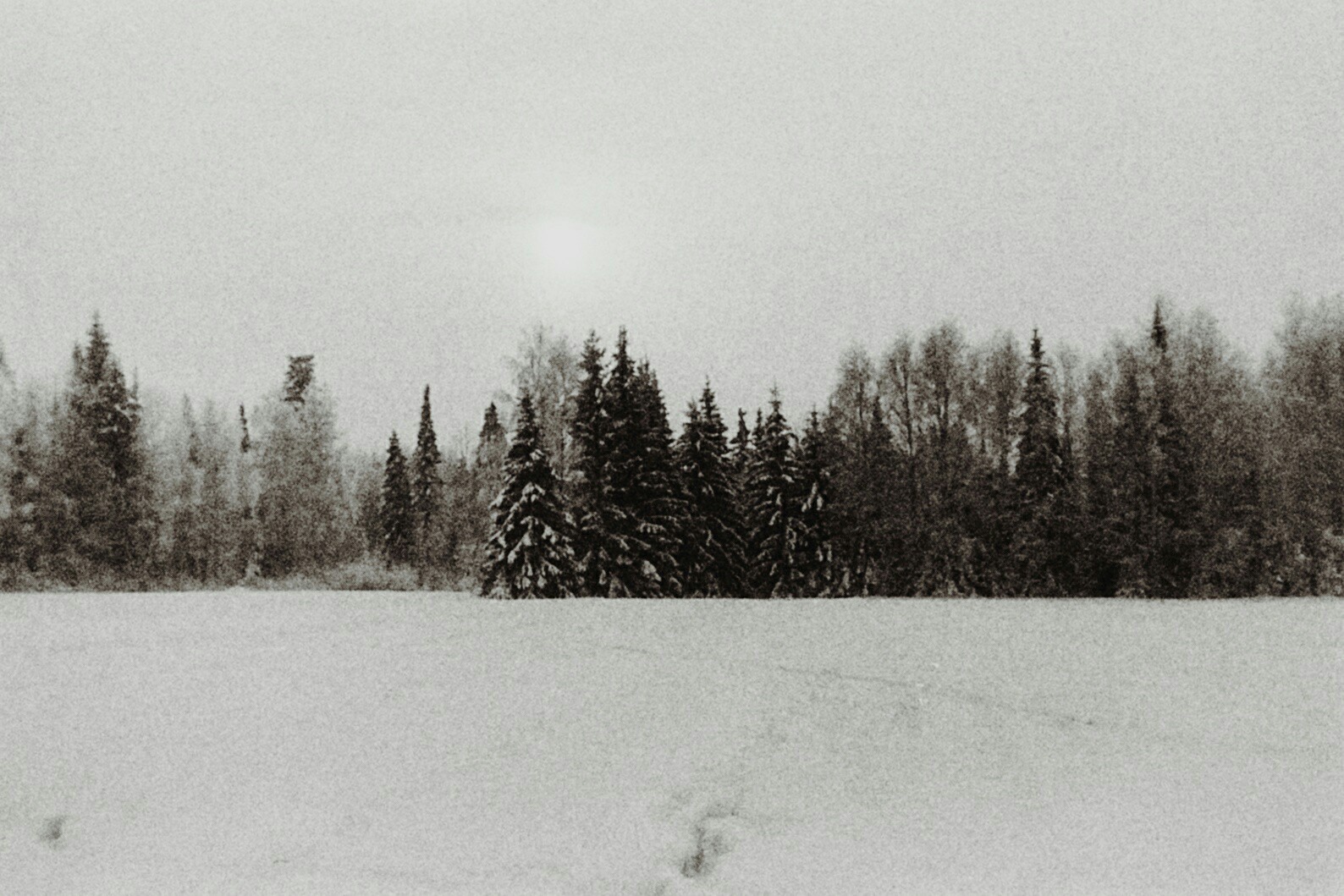 Кировская область, 1995 г. - Моё, Фотография, Пленка, Природа, Пейзаж, Киров, Вятка, Смена8м