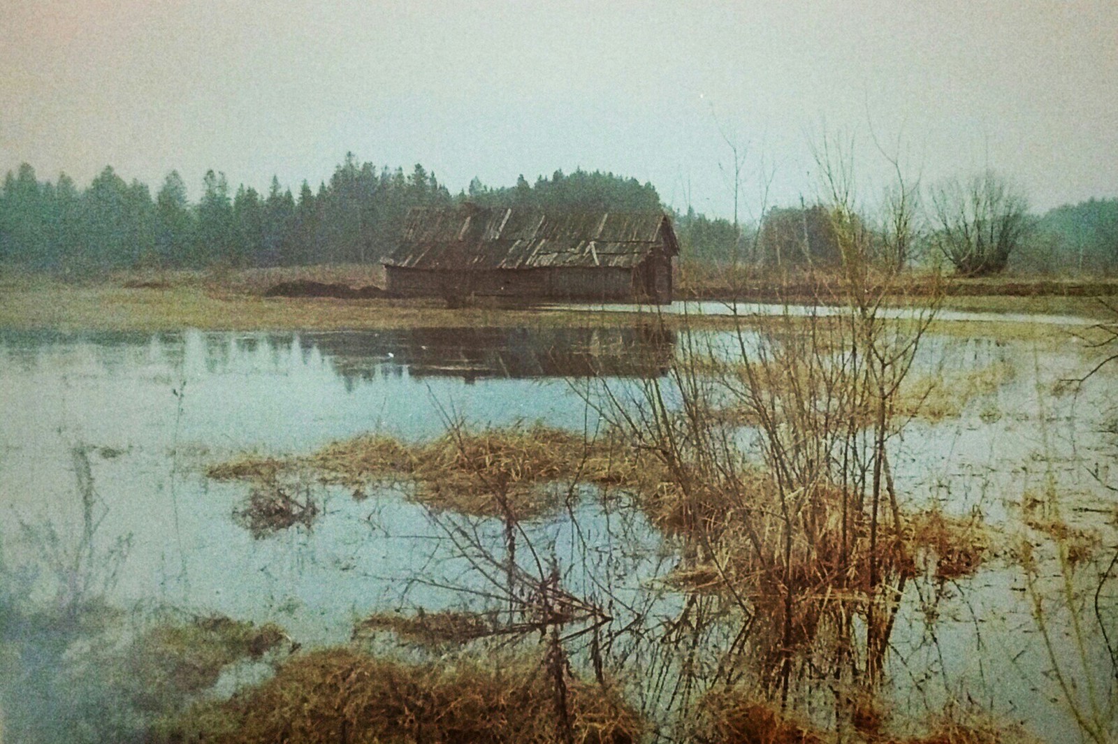 Кировская область, 1998 г. - Моё, Фотография, Природа, Пейзаж, Пленка, Киров, Вятка, Зенит