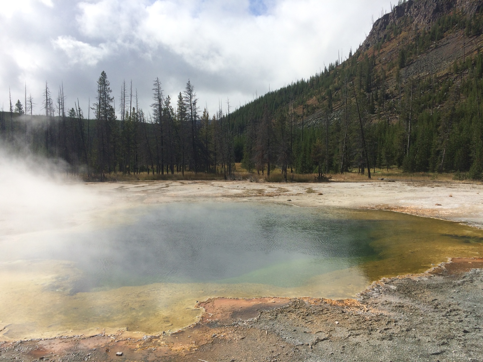 Travel across the USA. - My, Travels, USA, West Coast, Tourism, Wyoming, Yellowstone, Longpost, GIF