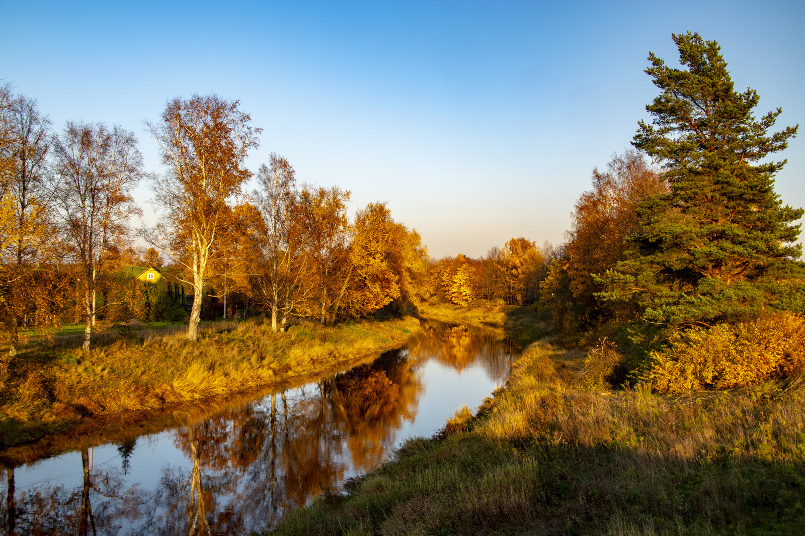 Autumn in Tosno - My, The photo, Autumn, Tosno, October, Nature, Longpost