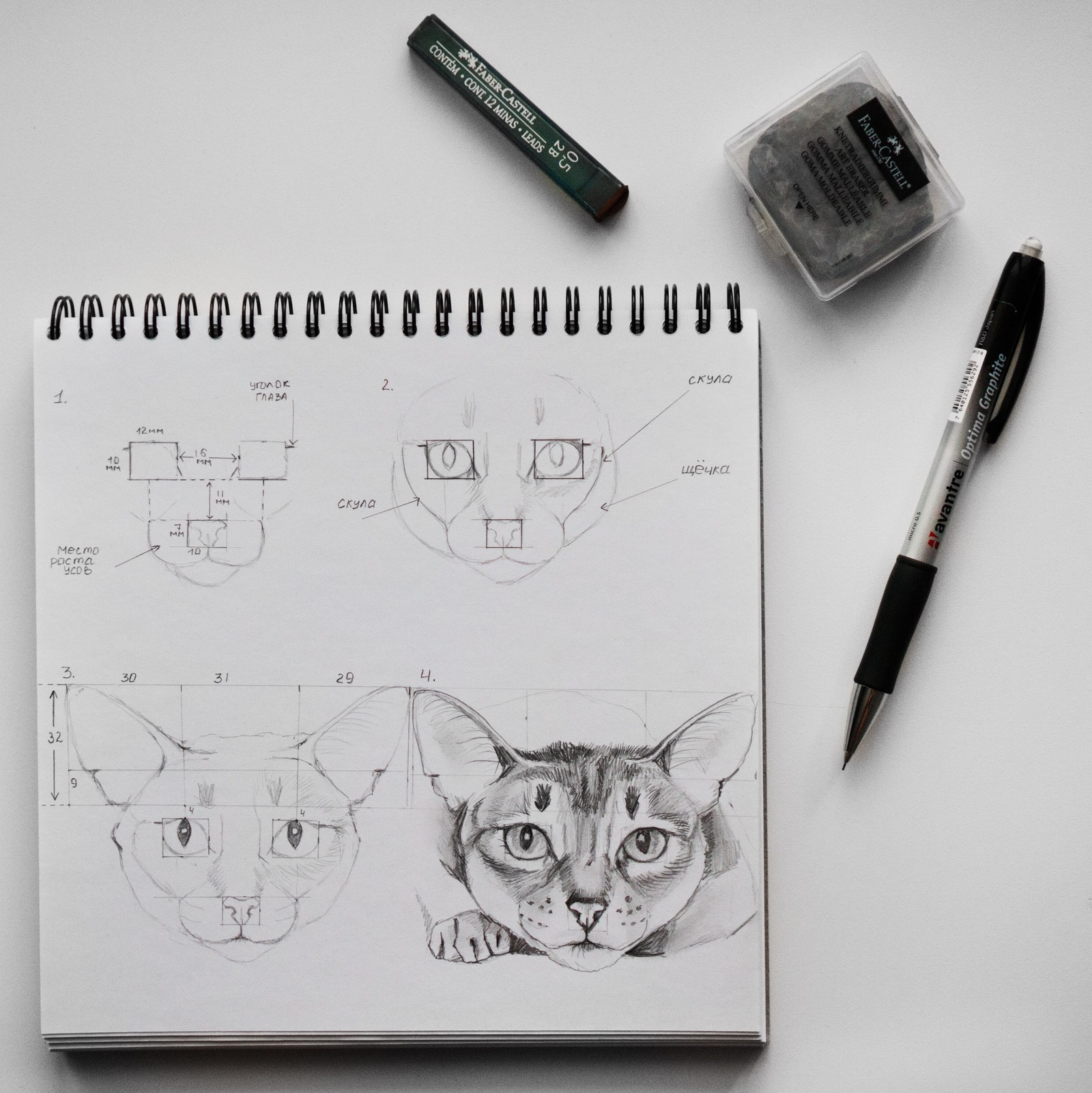 Как нарисовать кота. | Пикабу