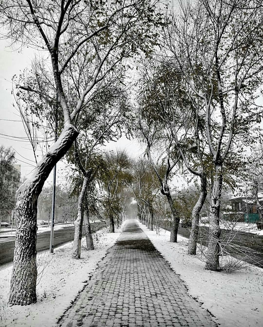 First snow in Blagoveshchensk, Amur Region. - The photo, beauty, Snow, Blagoveshchensk, Amur region, Nature, beauty of nature, Russia