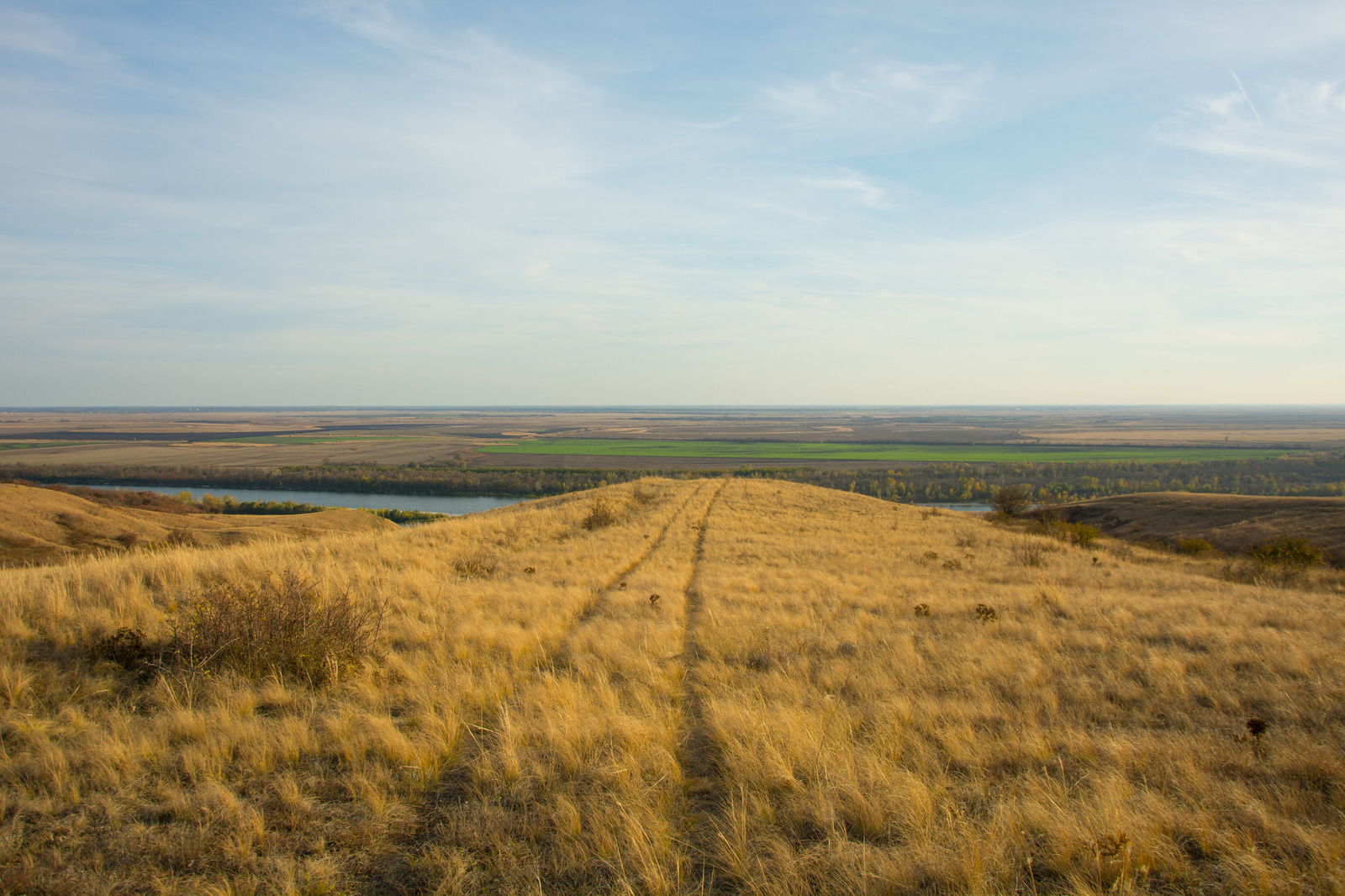 Autumn in the Rostov region. Lots of photos. - My, The nature of Russia, Rostov region, Post #10033265, Autumn, Longpost