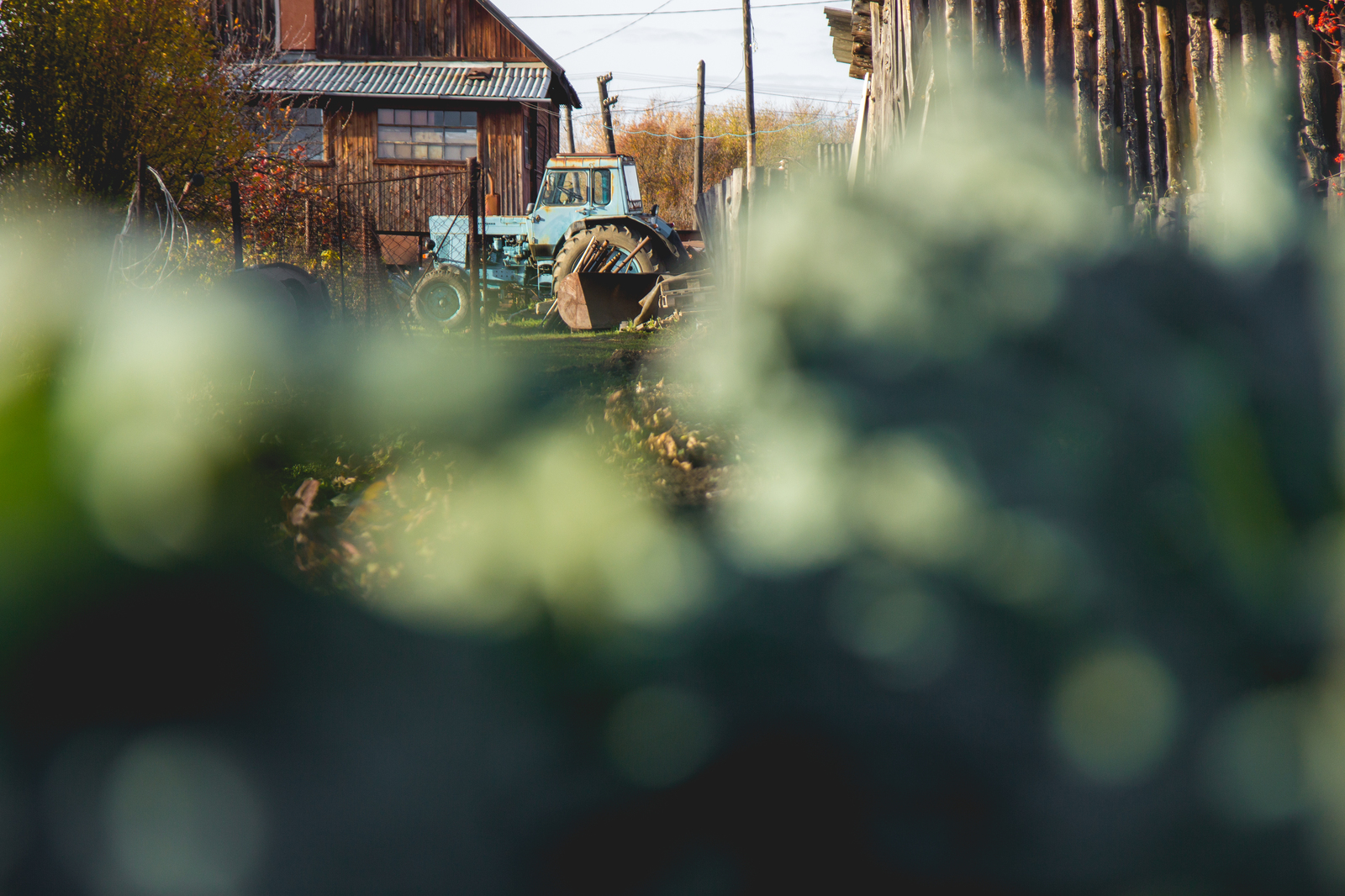 What is autumn is autumn - My, Autumn, Foliage, Nature, Mood, The photo, Longpost