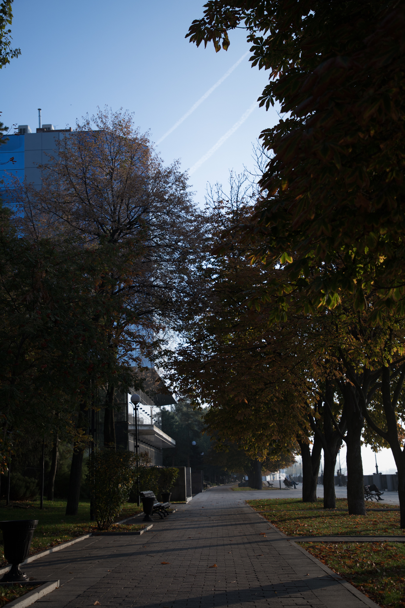 Walk along the embankment of Rostov-on-Don in the autumn morning - My, Rostov-on-Don, The photo, Morning, Longpost