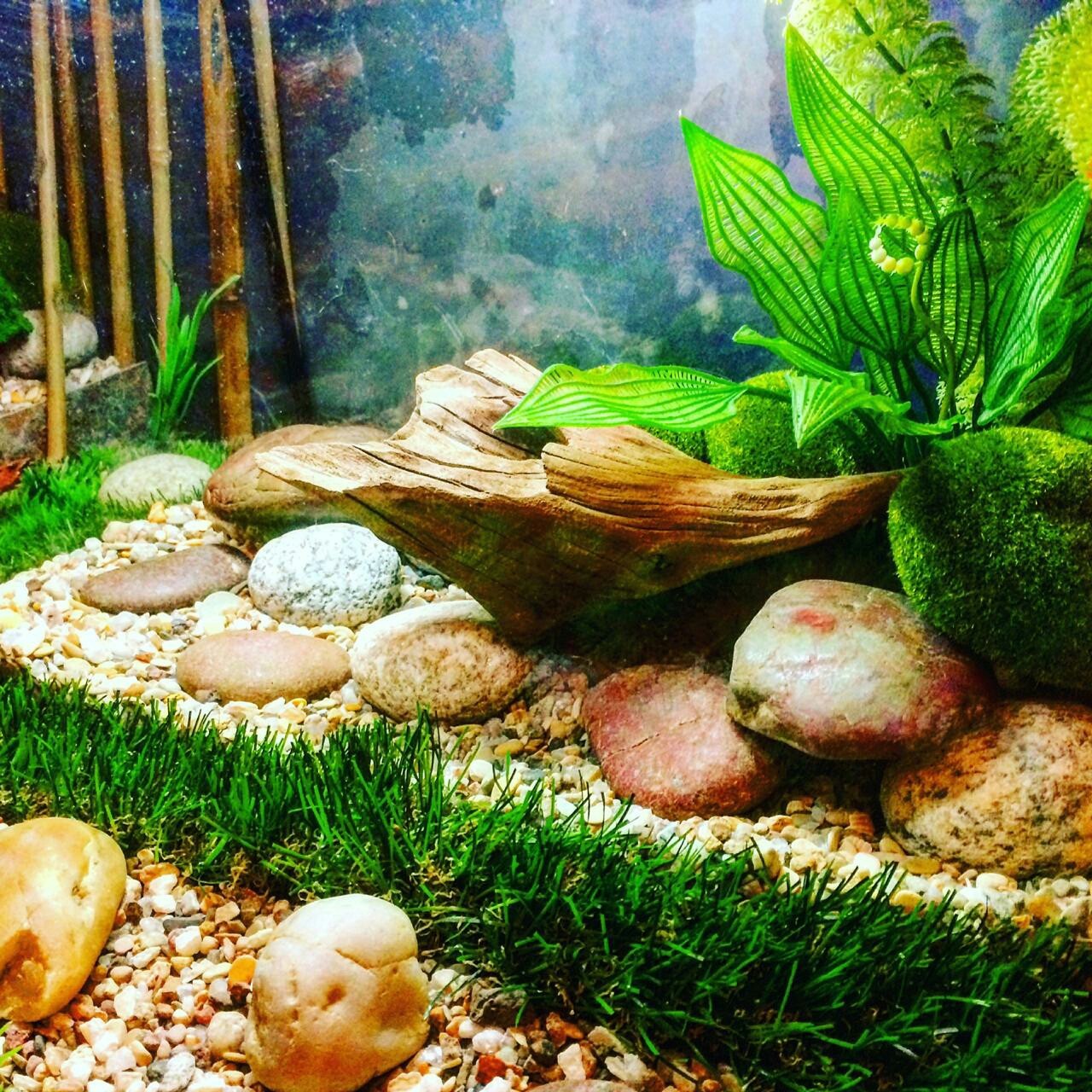 That's better? - My, Aquarium, With your own hands, Design, Longpost