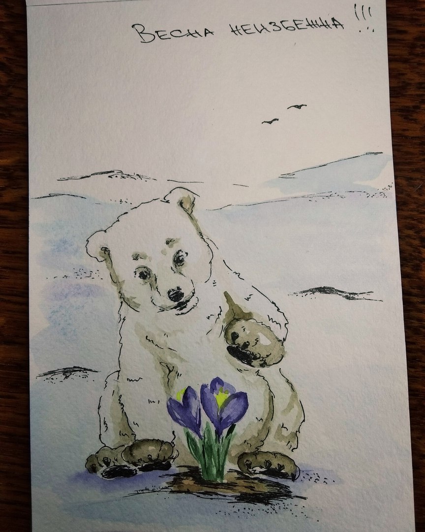 Wait. - My, Painting, Watercolor, Polar bear, Painting