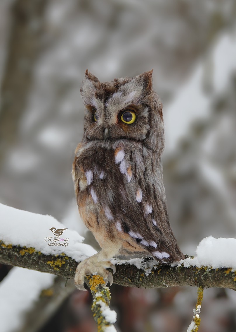 Sleepy owl. Dry felting. - My, Needlework without process, Dry felting, Birds, Needlework, Handmade, Creation, Longpost