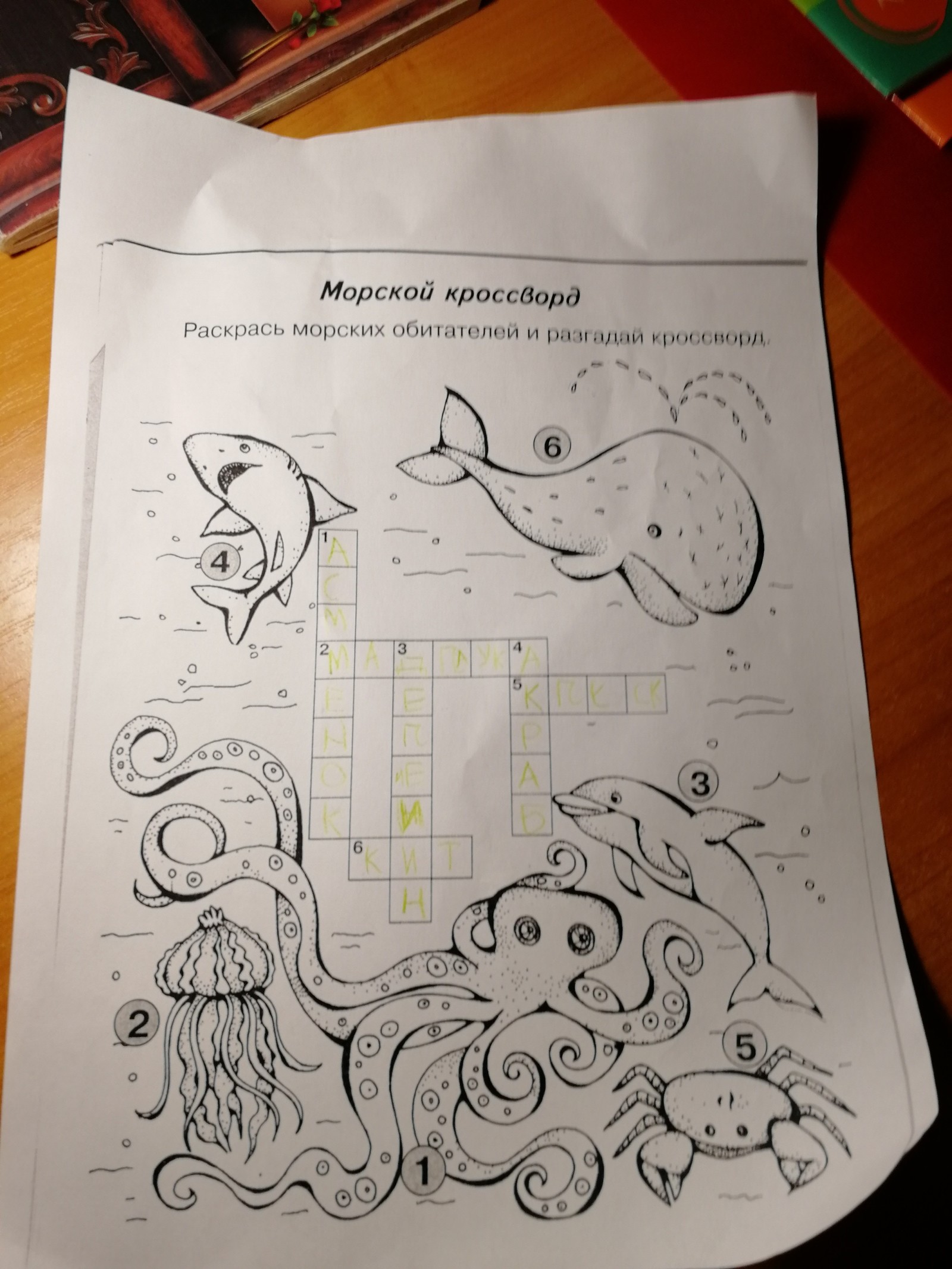 Daughter solved the crossword puzzle - My, Crossword, Children, Homework, , Octopus, Longpost