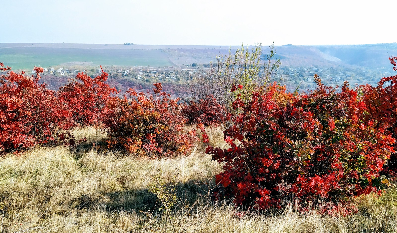 Autumn in Moldova - Longpost, Photo on sneaker, Moldova, Autumn