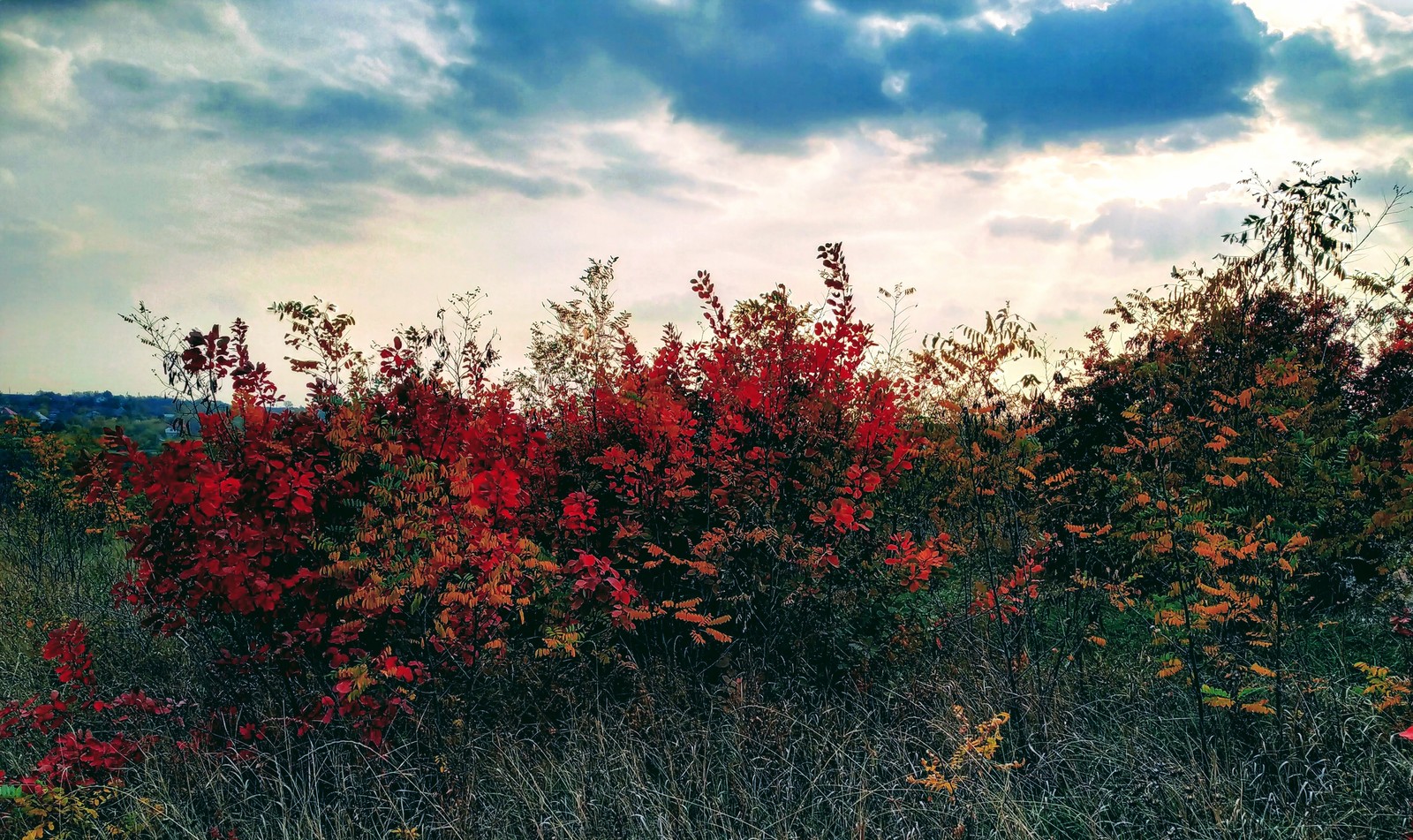 Autumn in Moldova - Longpost, Photo on sneaker, Moldova, Autumn