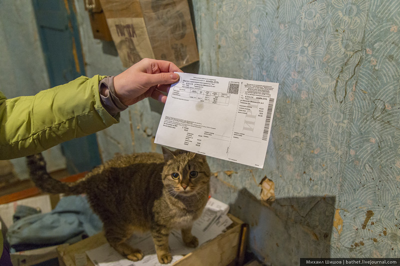 Life in the barrack photo - Barrack, Arkhangelsk, Longpost, Emergency housing