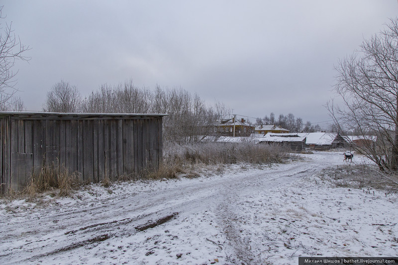 Life in the barrack photo - Barrack, Arkhangelsk, Longpost, Emergency housing