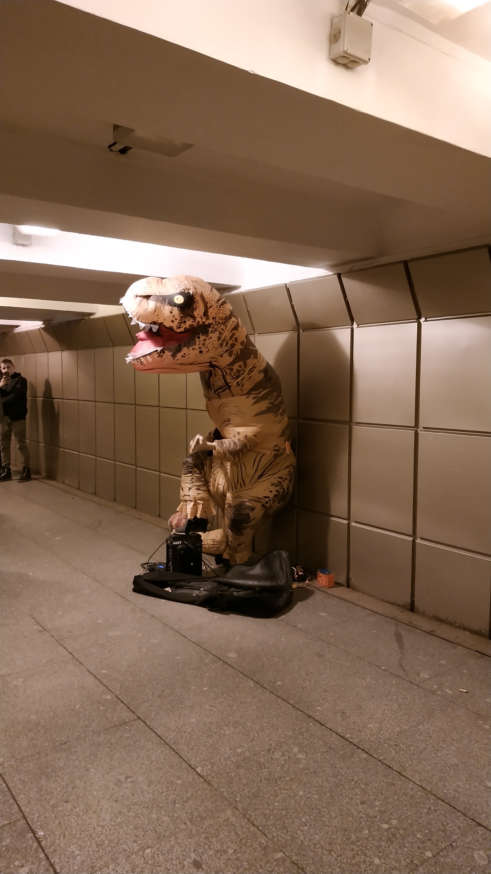 When you're trying not to die of hunger - Dinosaurs, Street musicians, Kupchino, Longpost, Saint Petersburg