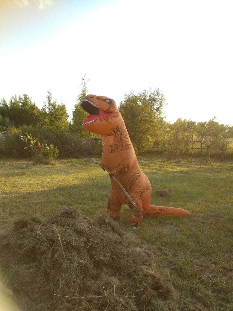 When he came to the village to visit his grandmother. - My, Dinosaur costume, Village, Longpost