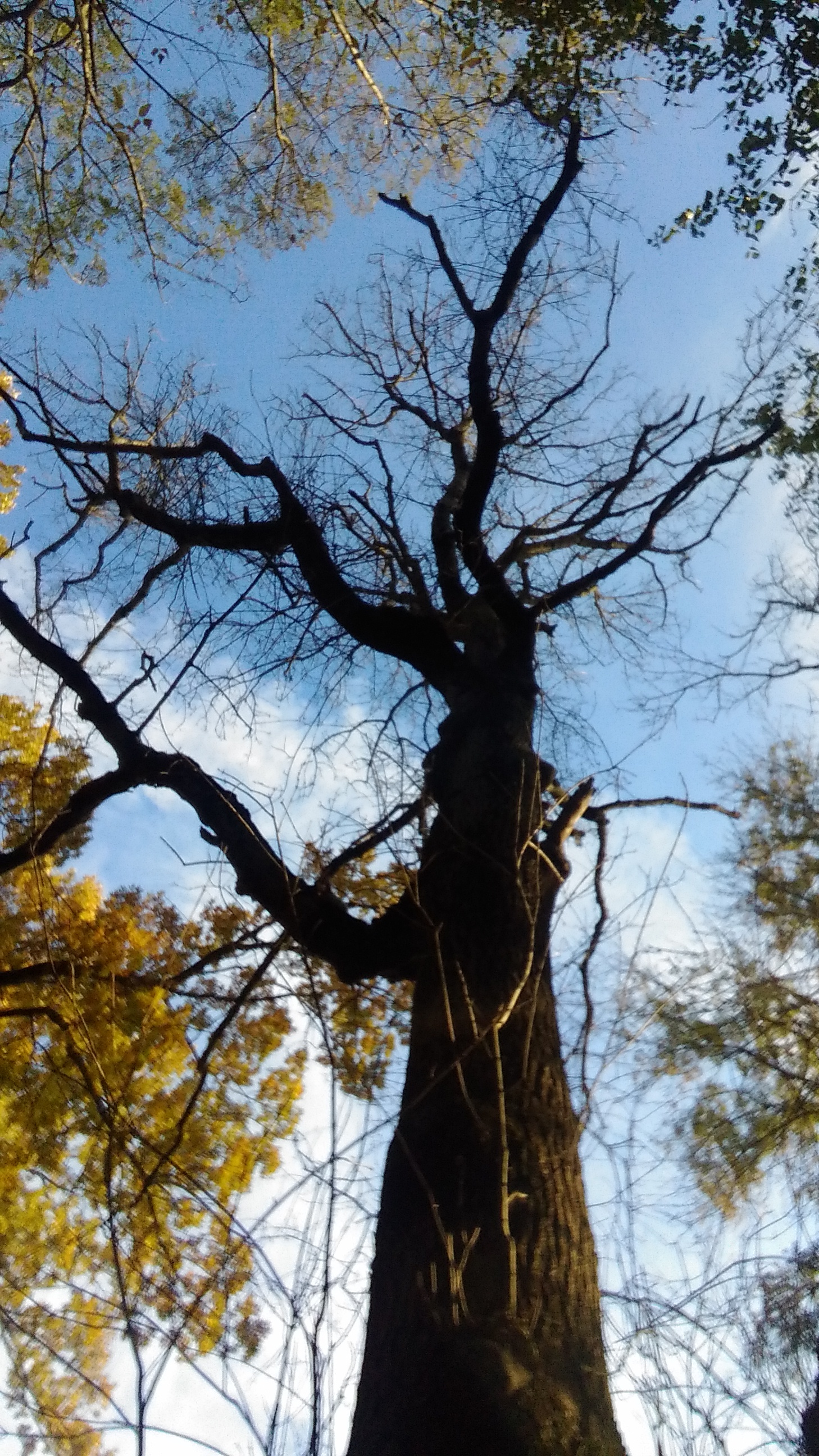 Ноябрь в южном городе - Моё, Осень, Город, Фотография, Длиннопост