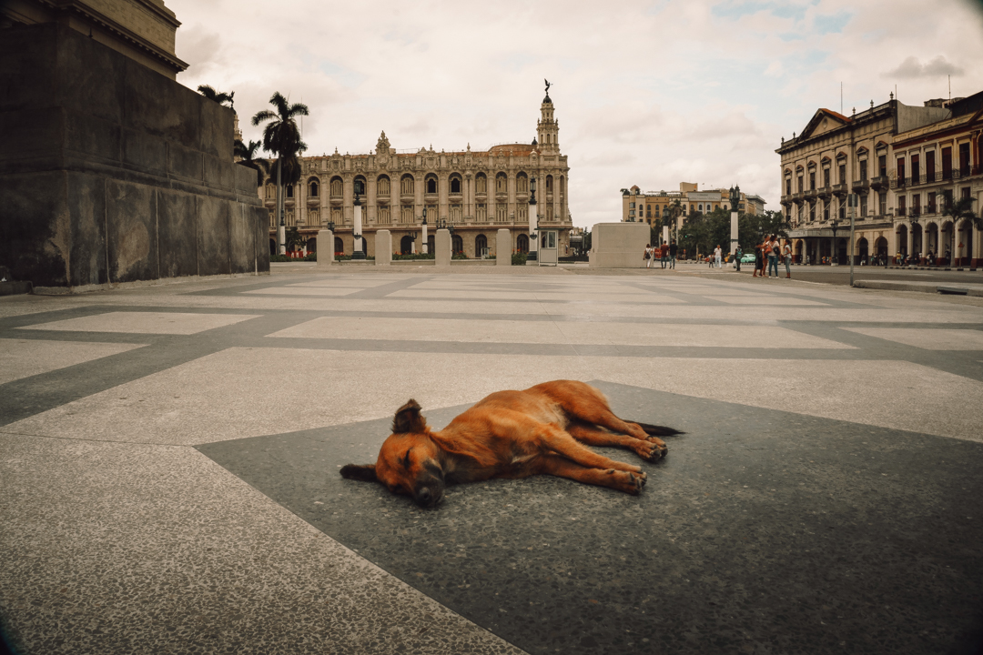 Havana. - My, Cuba, Havana, The photo