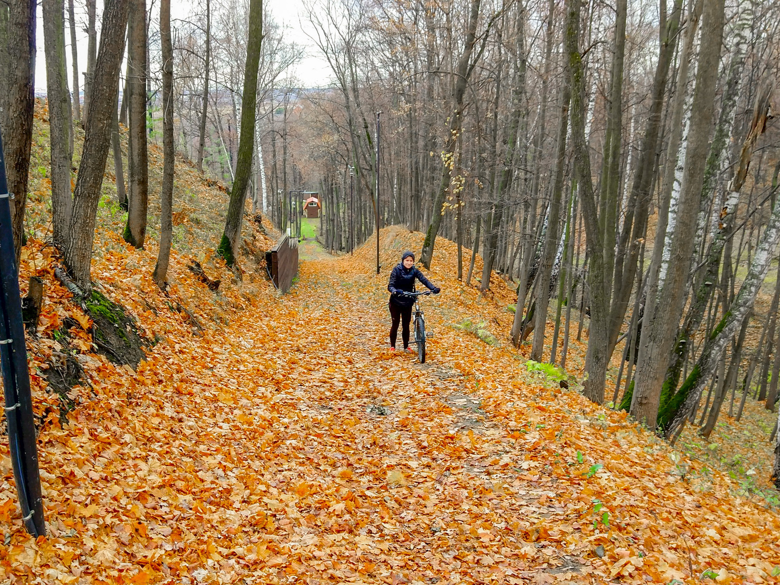 One November day... - My, A bike, The photo, Autumn, Nature, Bike ride, Moscow region, Longpost