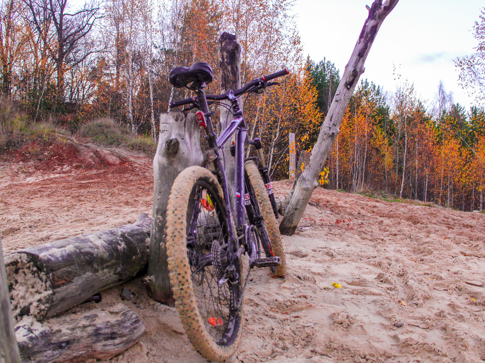 One November day... - My, A bike, The photo, Autumn, Nature, Bike ride, Moscow region, Longpost