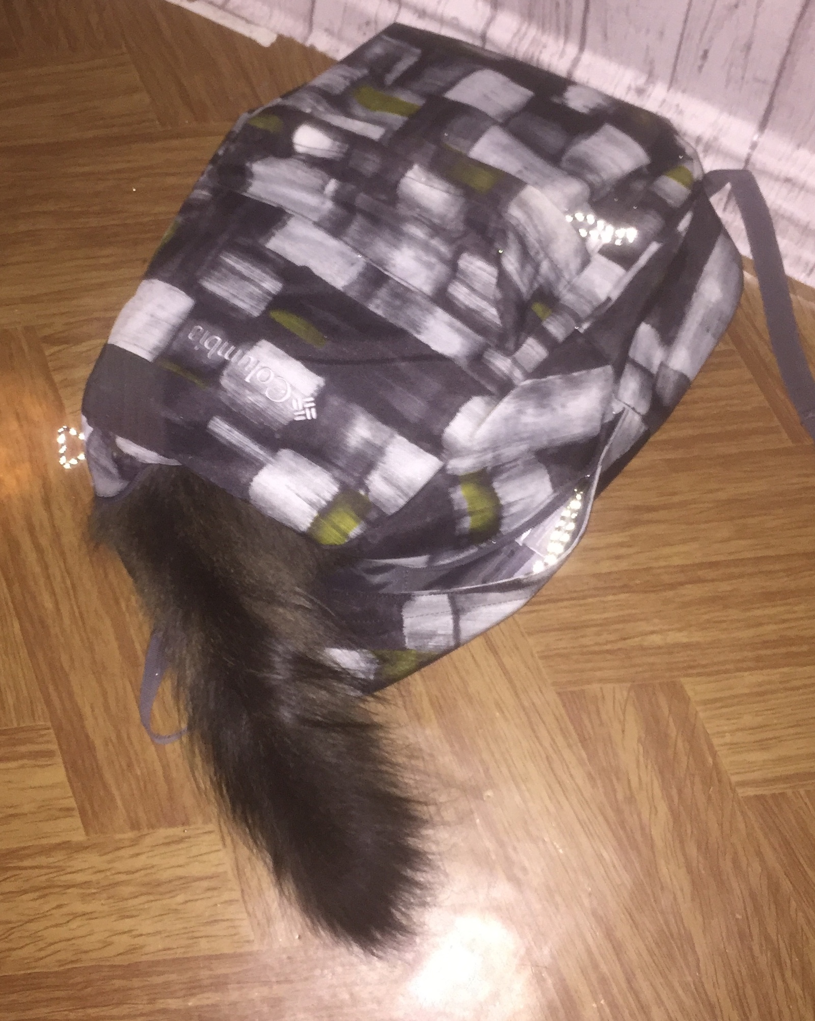 tailed backpack - My, cat, Backpack, 