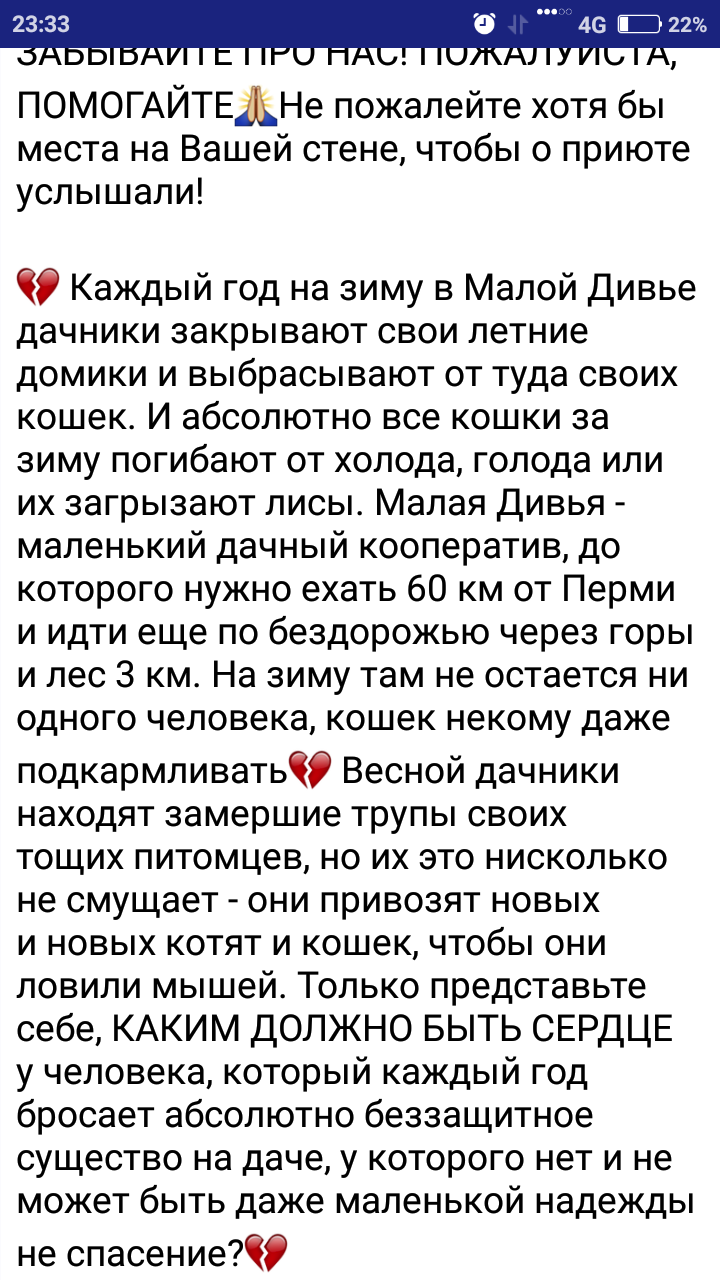 Спасение кошек. Как это выглядит со стороны зоозащитников.И как это  возможно на эти действия видят люди. | Пикабу