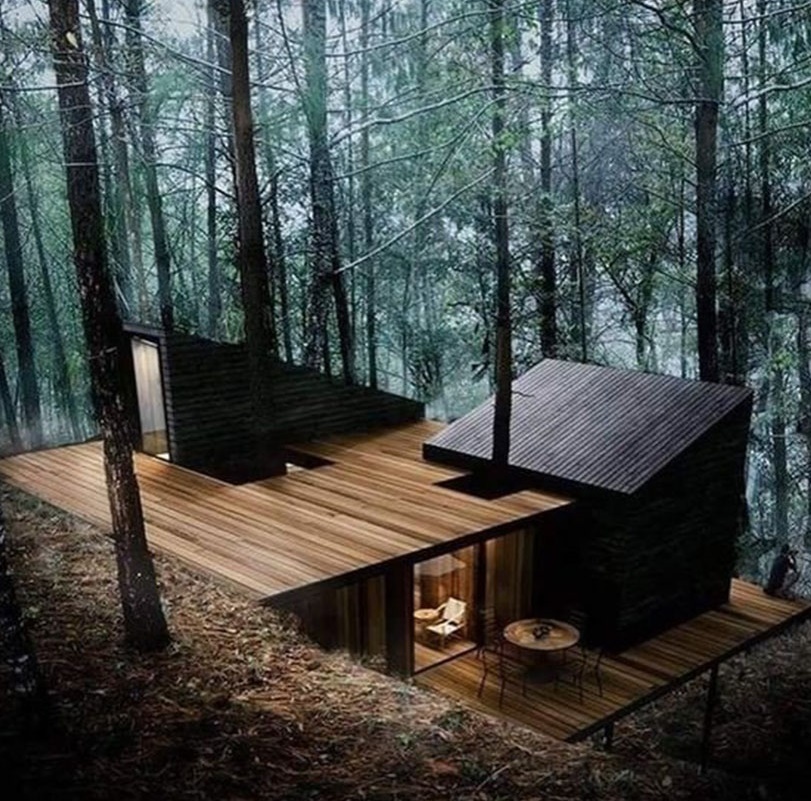 House in the woods - Forest, House in the woods