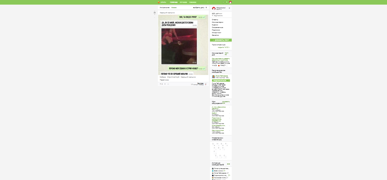 Когда даже Пикабу считает, что ты слишком много сидишь на Пикабу - Скриншот, Пикабу, Слишком много Пикабу, Длиннопост