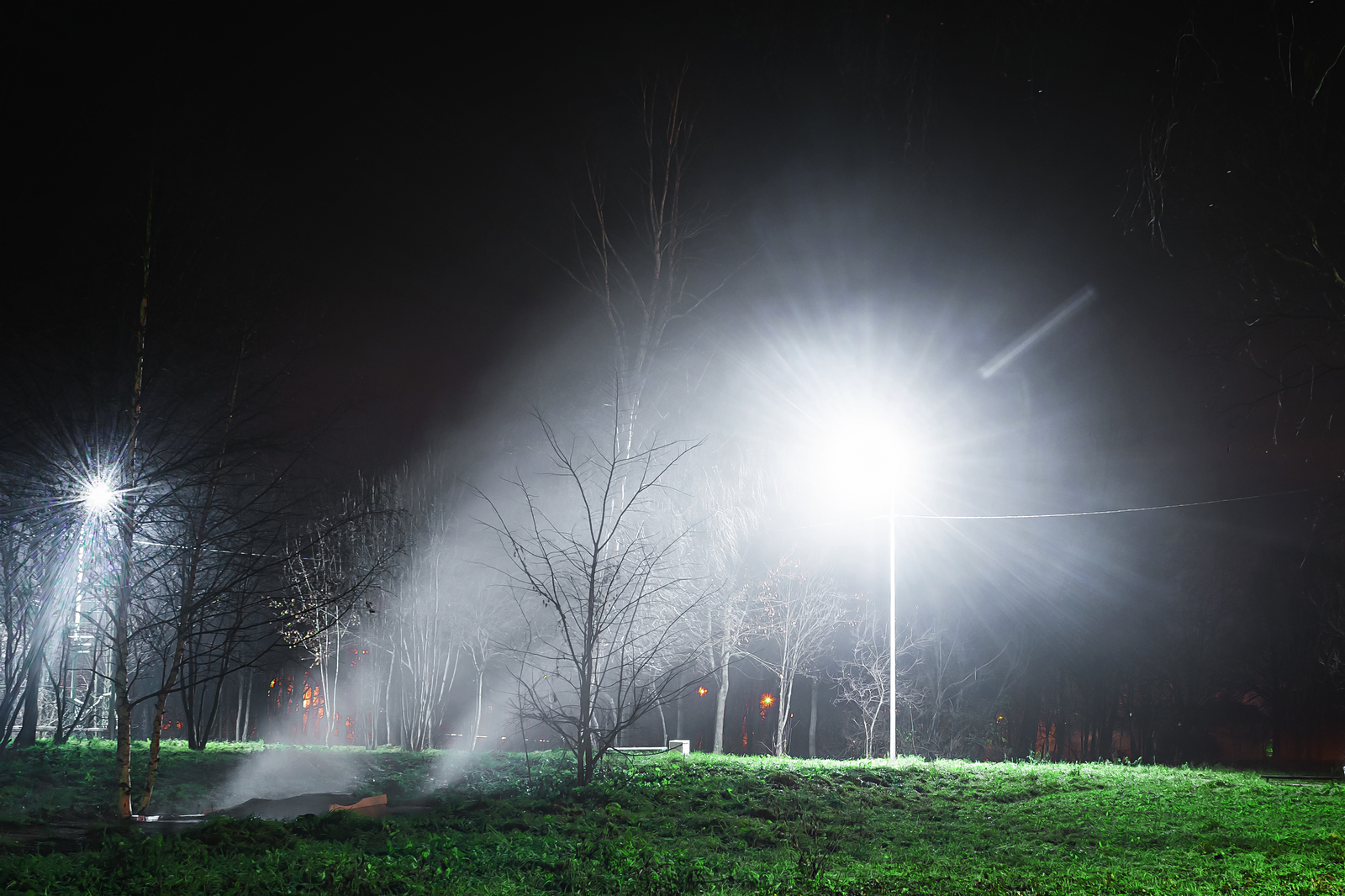 Autumn evening :) - My, Nikon d5300, The photo, The park, Fog