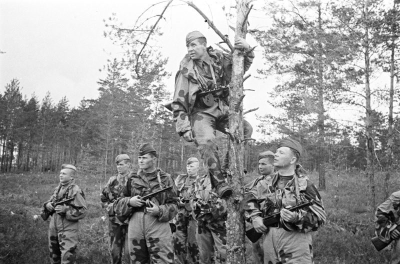 Great Patriotic War 1941-1945. - The Great Patriotic War, To be remembered, War correspondent, Shaikhet Arkadiy Samoylovich, Longpost