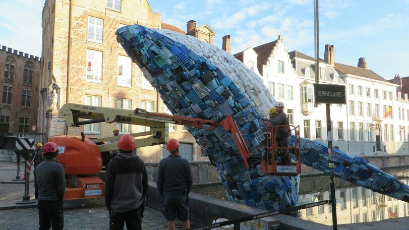 5 tons of plastic waste failed to sink to the bottom in Bruges - Bruges, Monument, Whale, Garbage