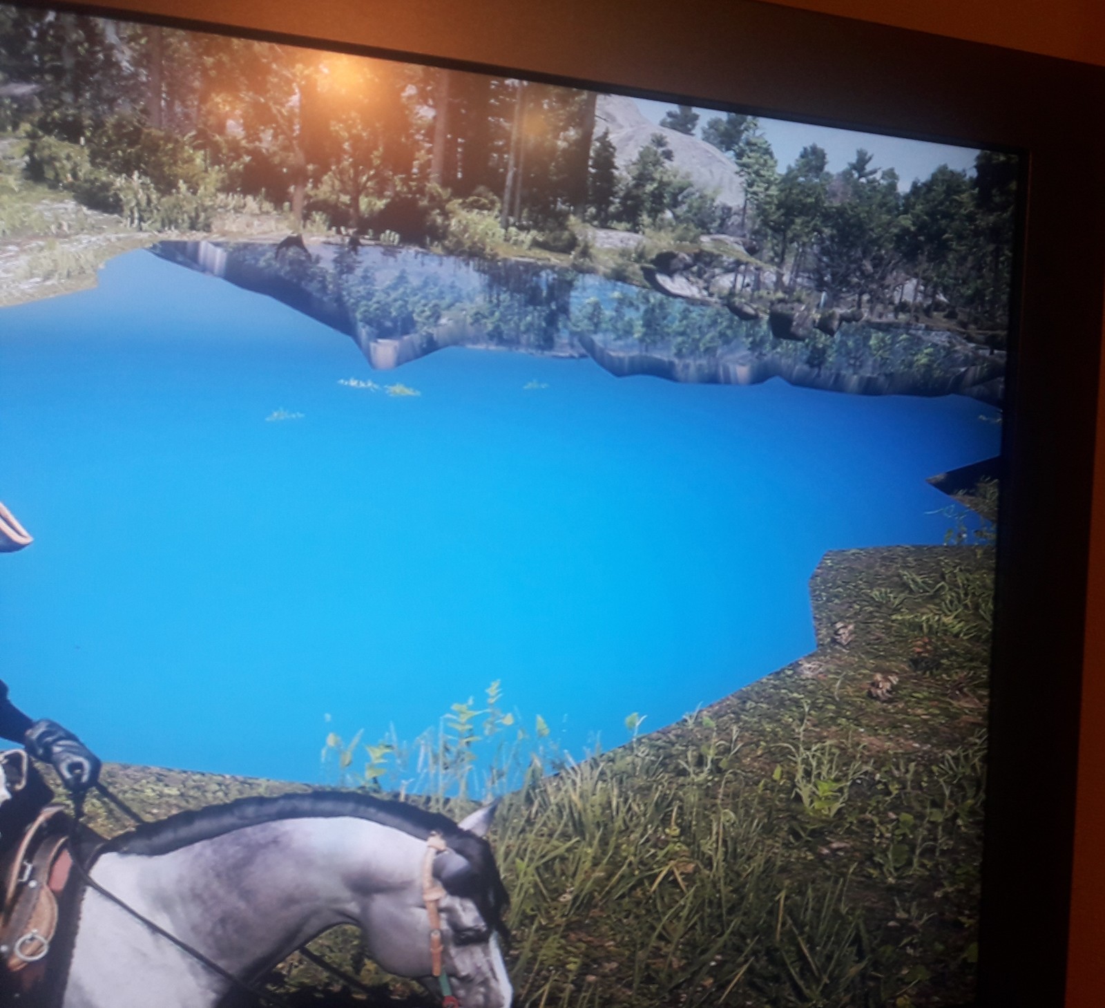 Missing road textures in Read Dead Redemption 2 - My, Computer games, Consoles