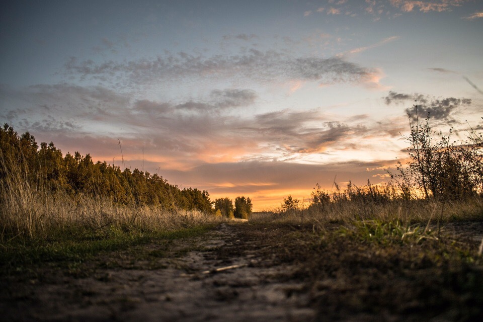 Lev Tolstoy - My, The photo, Lev Tolstoy, Beginning photographer, Lipetsk region