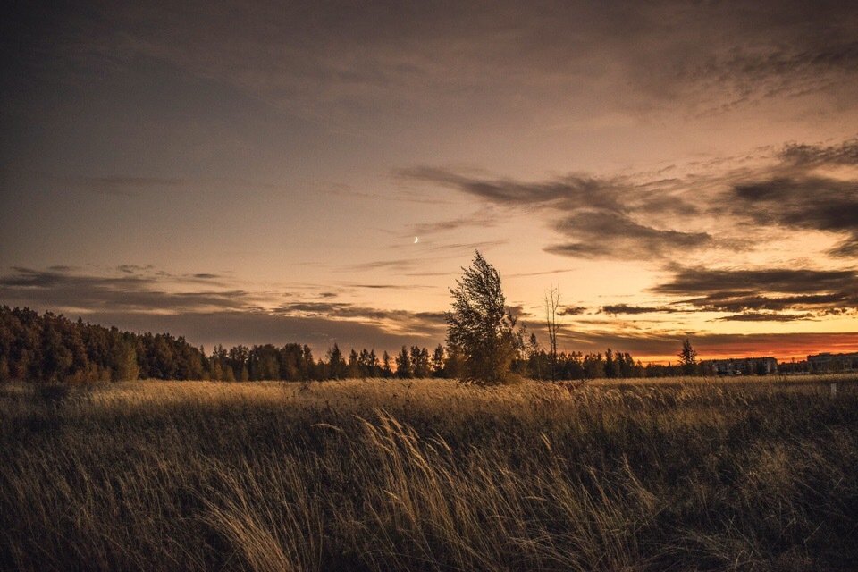 Lev Tolstoy - My, The photo, Lev Tolstoy, Beginning photographer, Lipetsk region