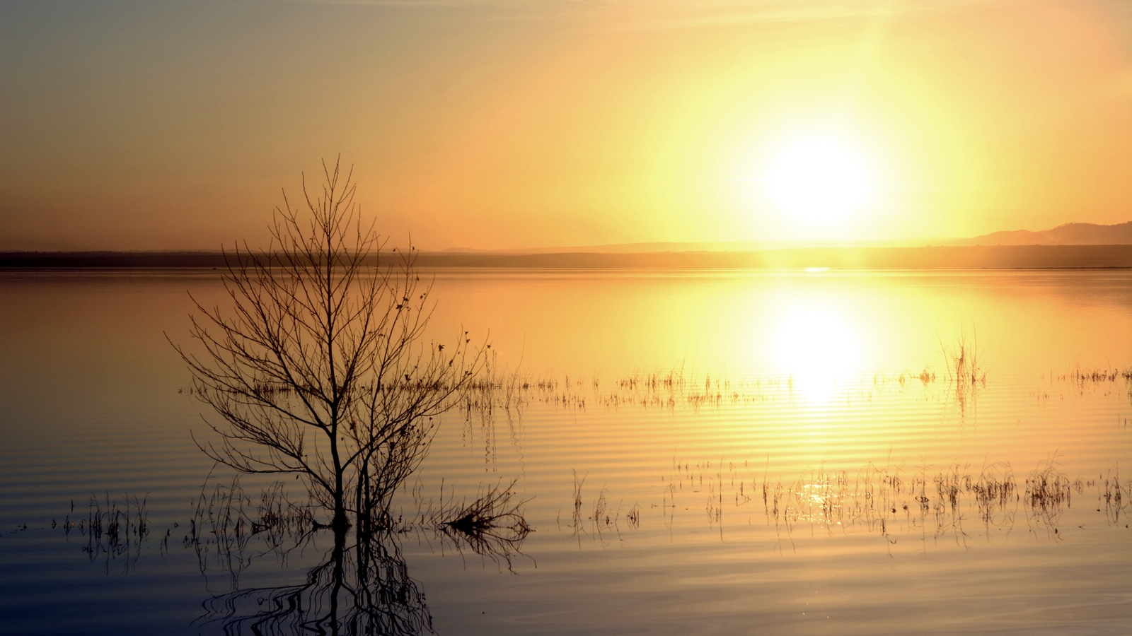 Calm, only calm. - My, Chita, Lake, Sunset, Beginning photographer, Longpost