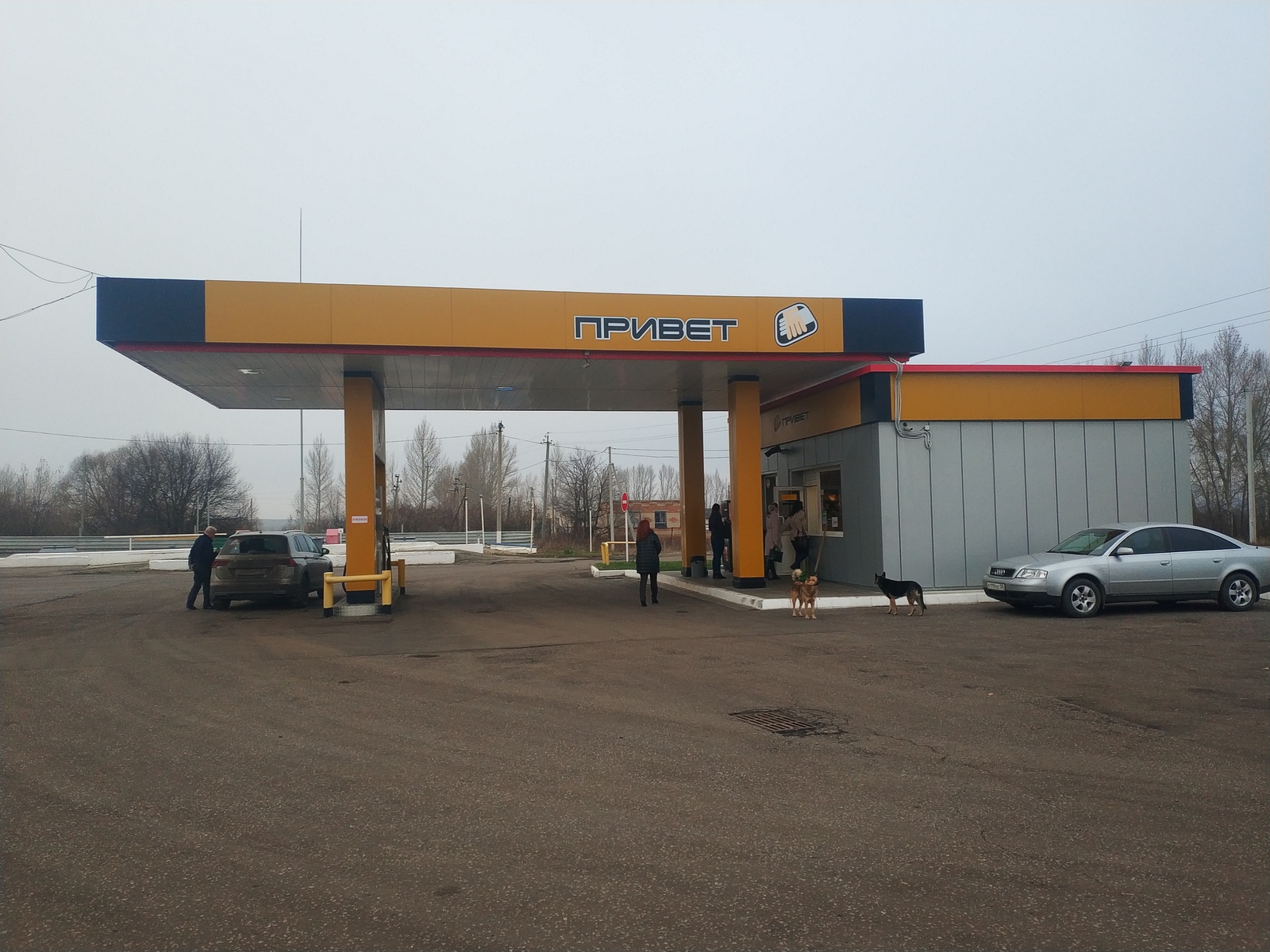 Привет ,Роснефть | Пикабу