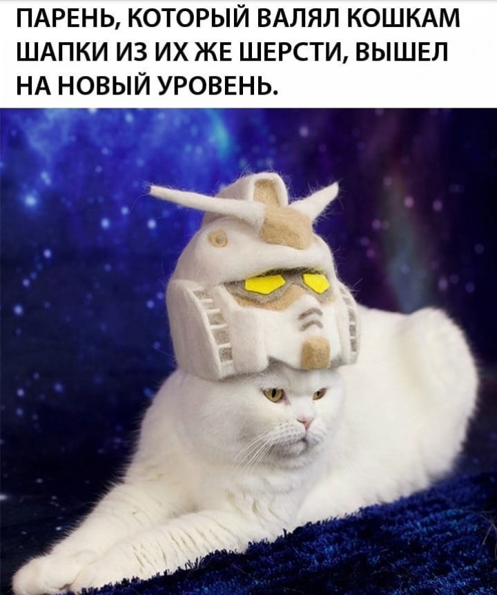 Lvl 100 - Кот, Шапка, Рукоделие