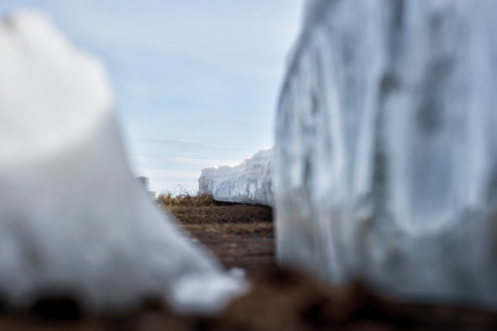 Volga motives... - My, Yaroslavskaya oblast, Nikon d5300, Landscape, Volga, Longpost, Volga river