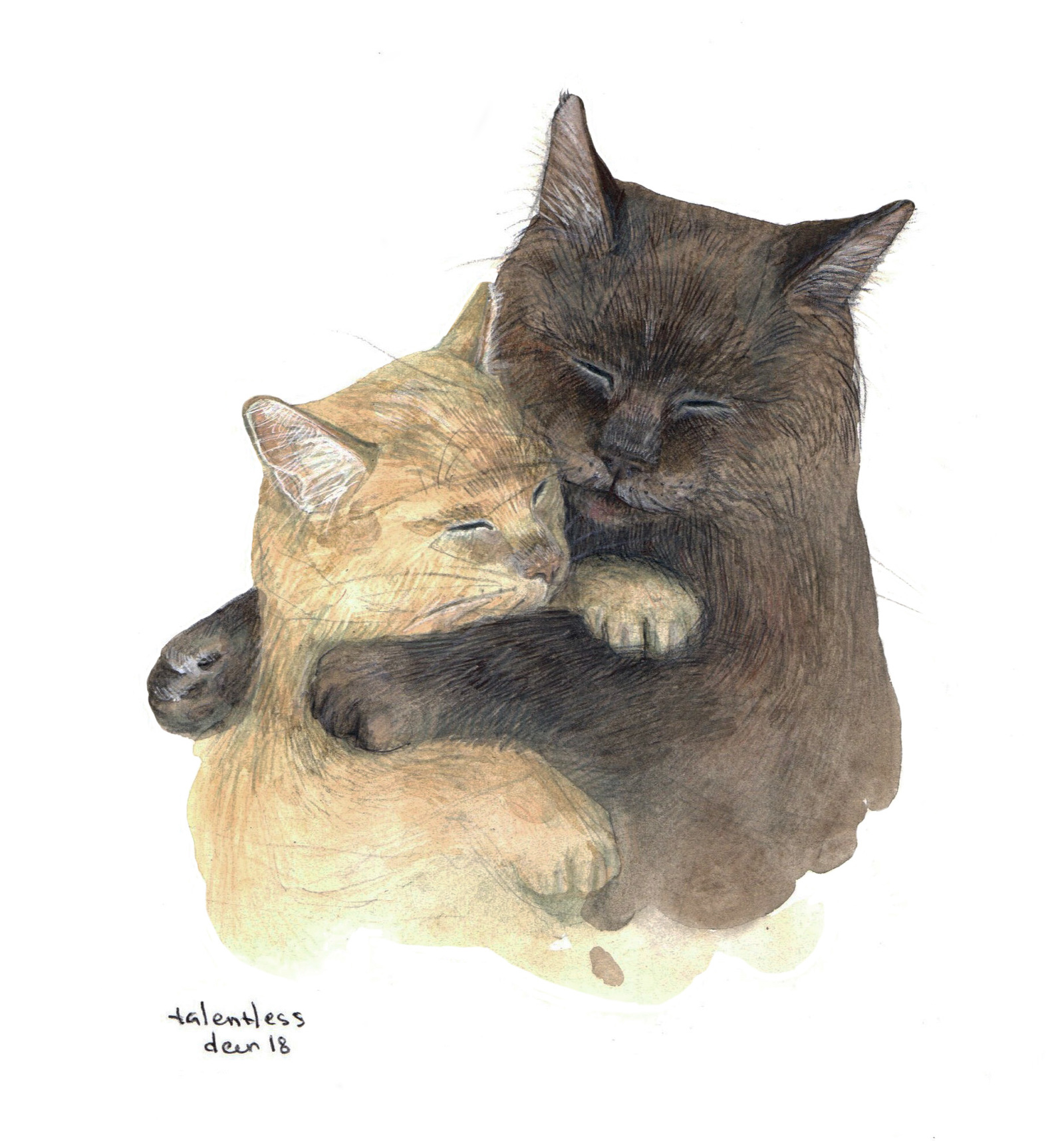 Mixed media - My, cat, Watercolor, Graphics, Pencil, Art, Drawing, Animals, Animalistics