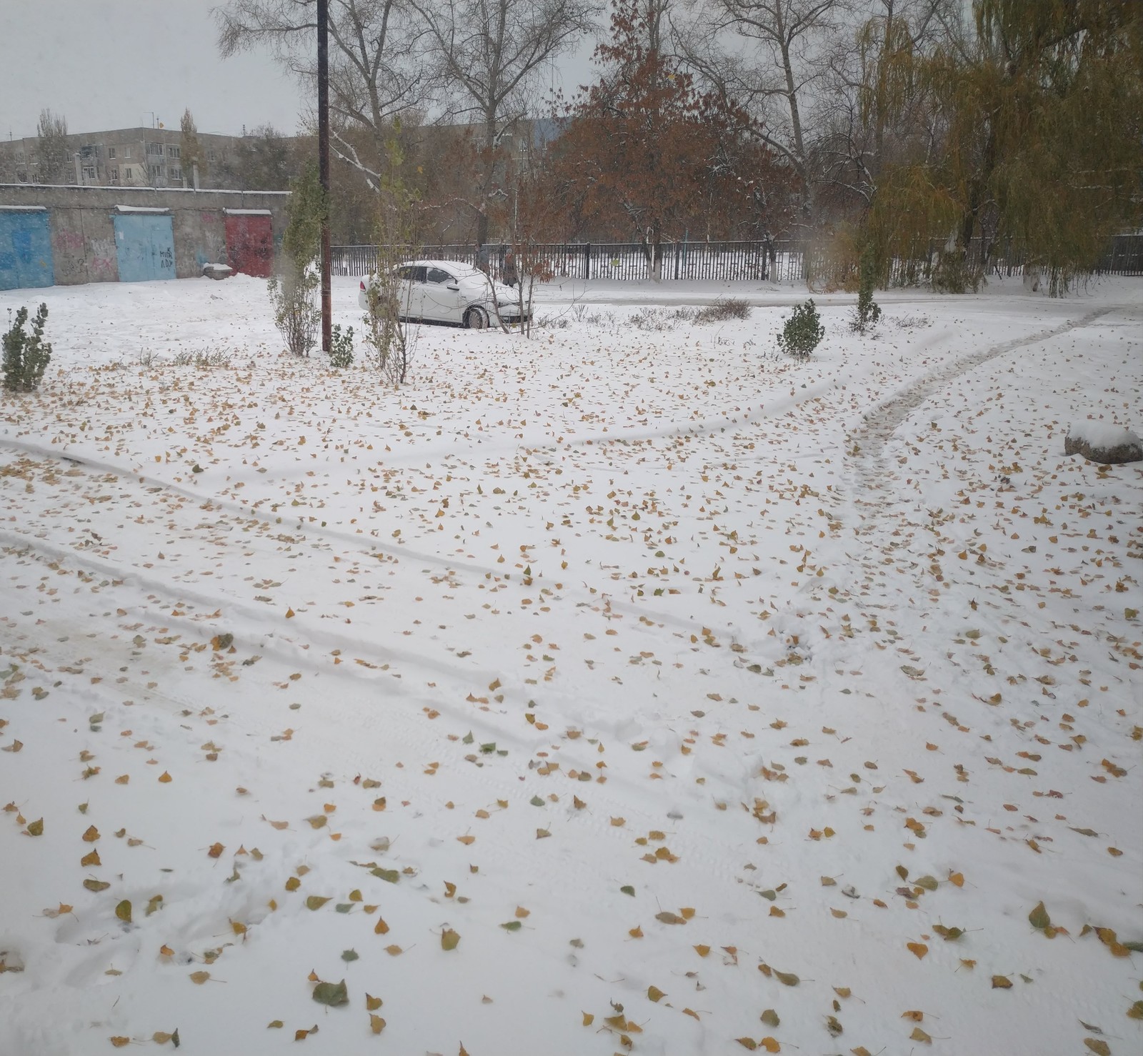 Paradox - My, Snow, Rostov region, Leaves, Autumn, Winter, Paradox, Longpost