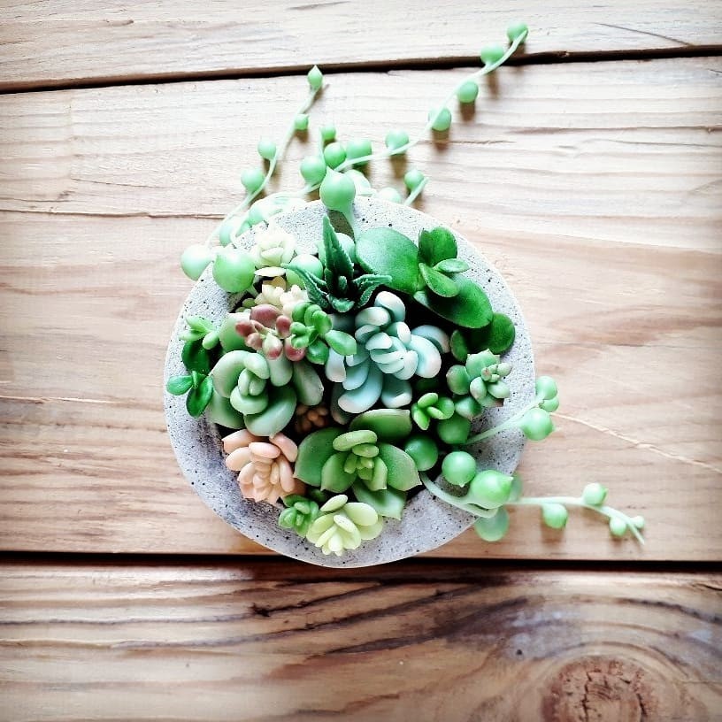 Garden with handmade succulents. - My, Succulents, Needlework without process, Handmade, Polymer clay, Cold porcelain, Video, Longpost