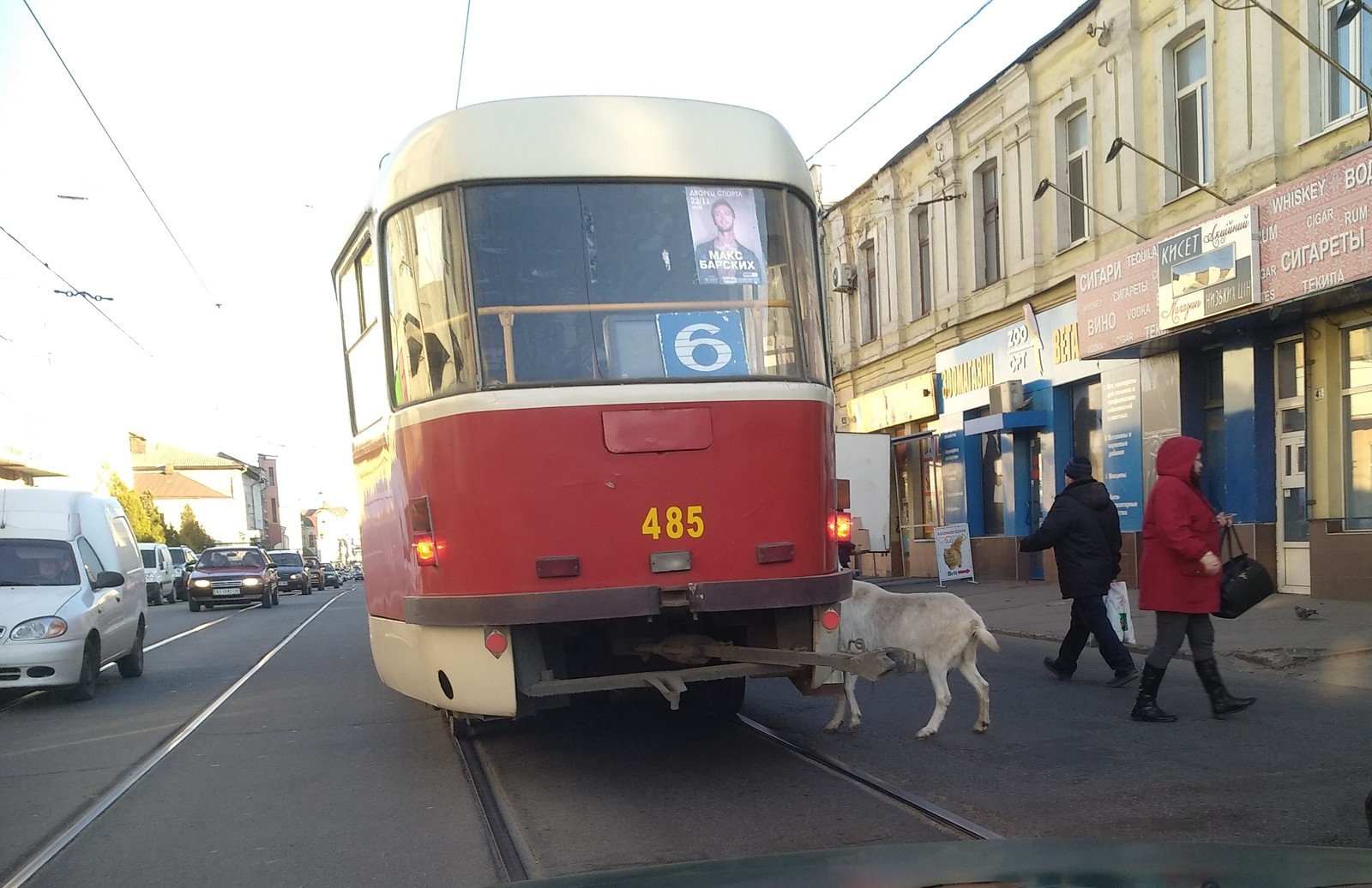 Agricultural country Ukraine! With a goat in the tram! - My, Tram, Пассажиры, Goat, Gorelectrotrans, Longpost