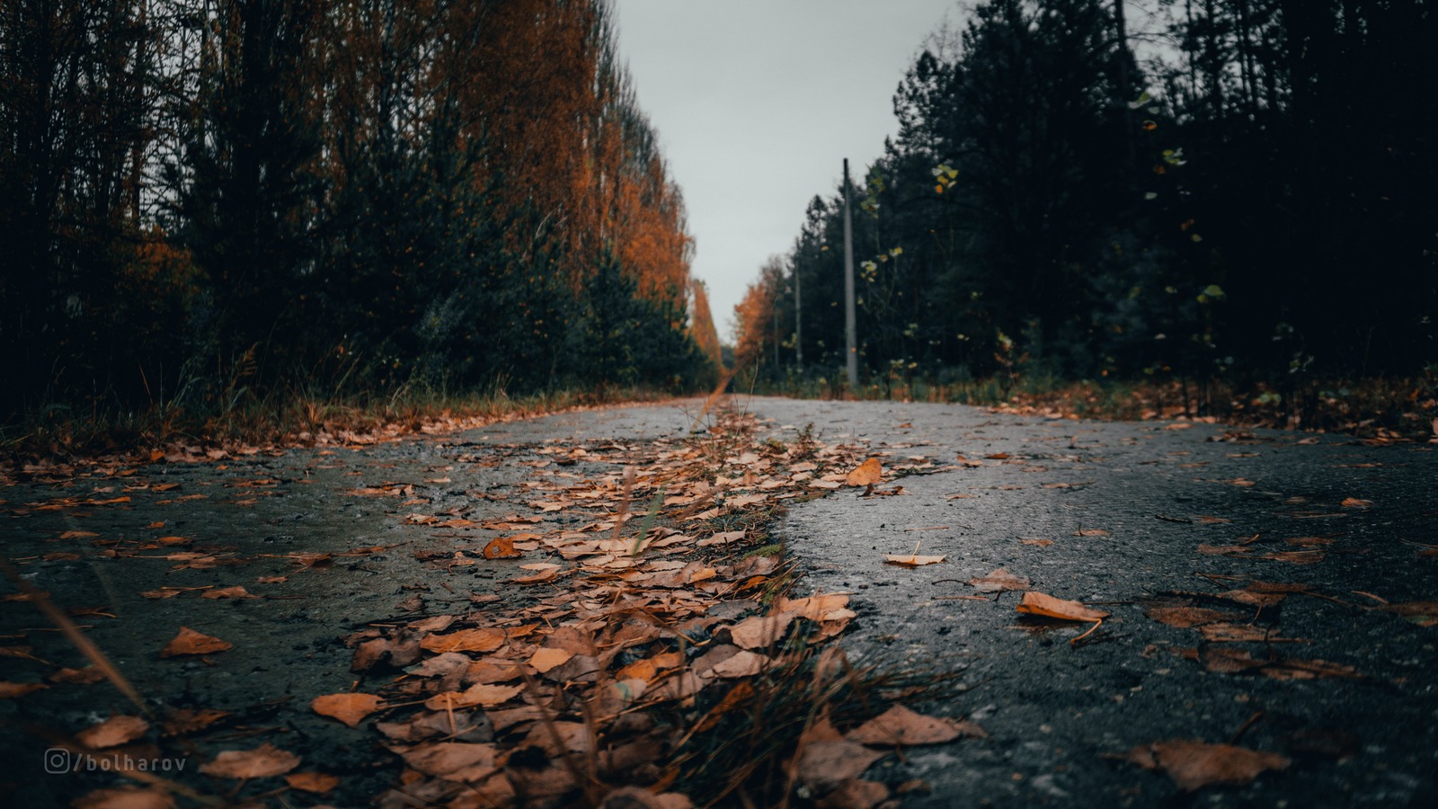 Trip to the Chernobyl Exclusion Zone - My, Chernobyl, Zuo, Pripyat, Abandoned, Urbanphoto, Video, Longpost, Dog