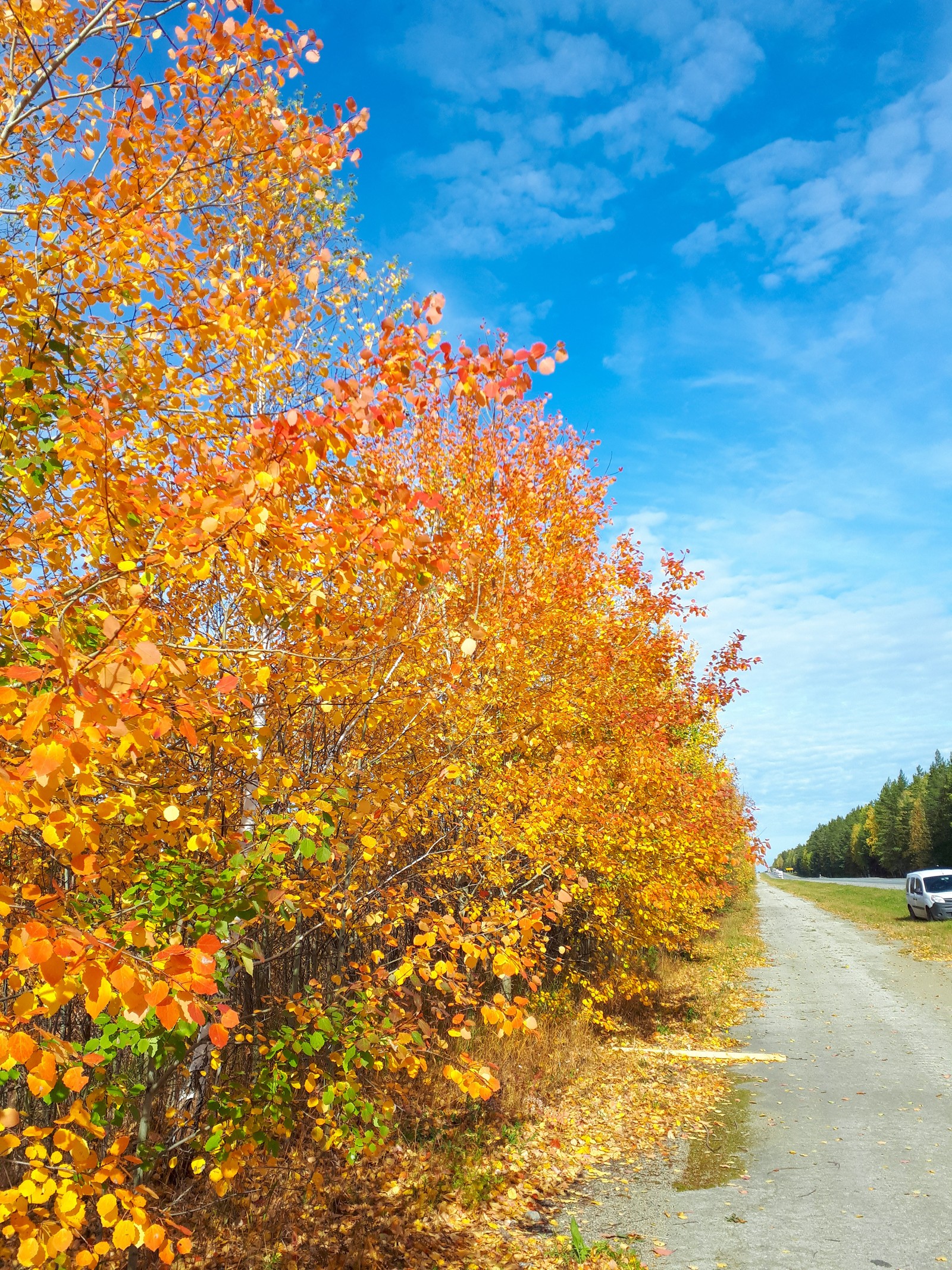 Autumn as I see it. - My, Autumn, What is autumn, The photo, beauty of nature, Longpost