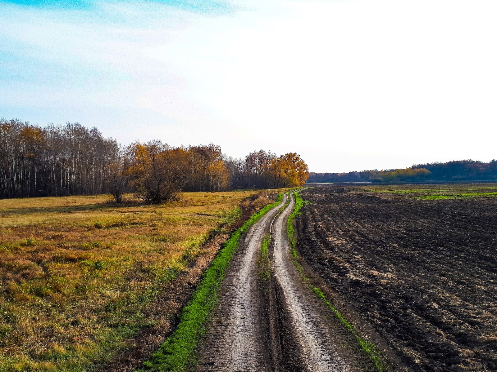 Autumn as I see it. - My, Autumn, What is autumn, The photo, beauty of nature, Longpost