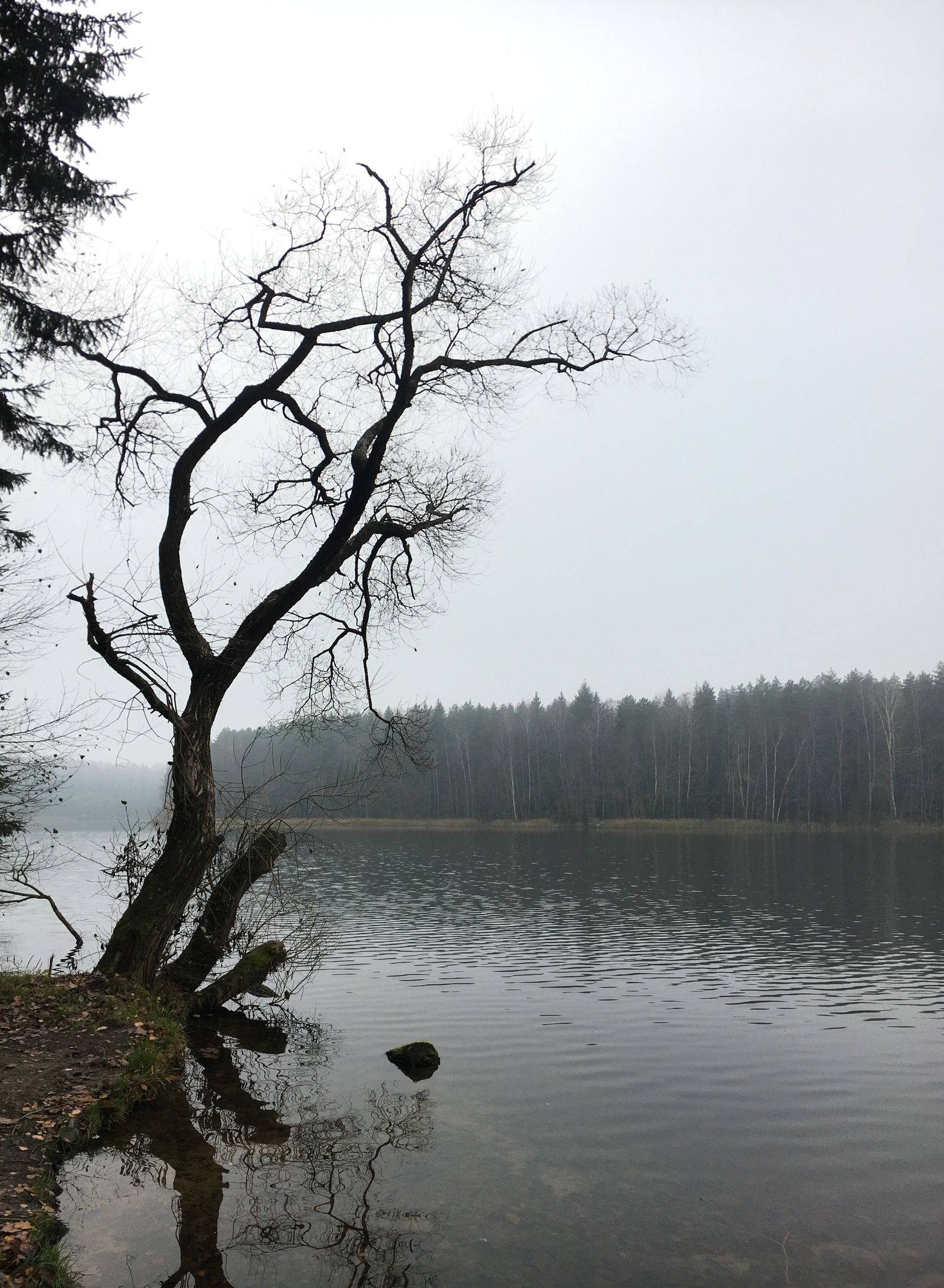 Silence - My, Mobile photography, iPhone 6s, Autumn, Deserted, Republic of Belarus, Longpost