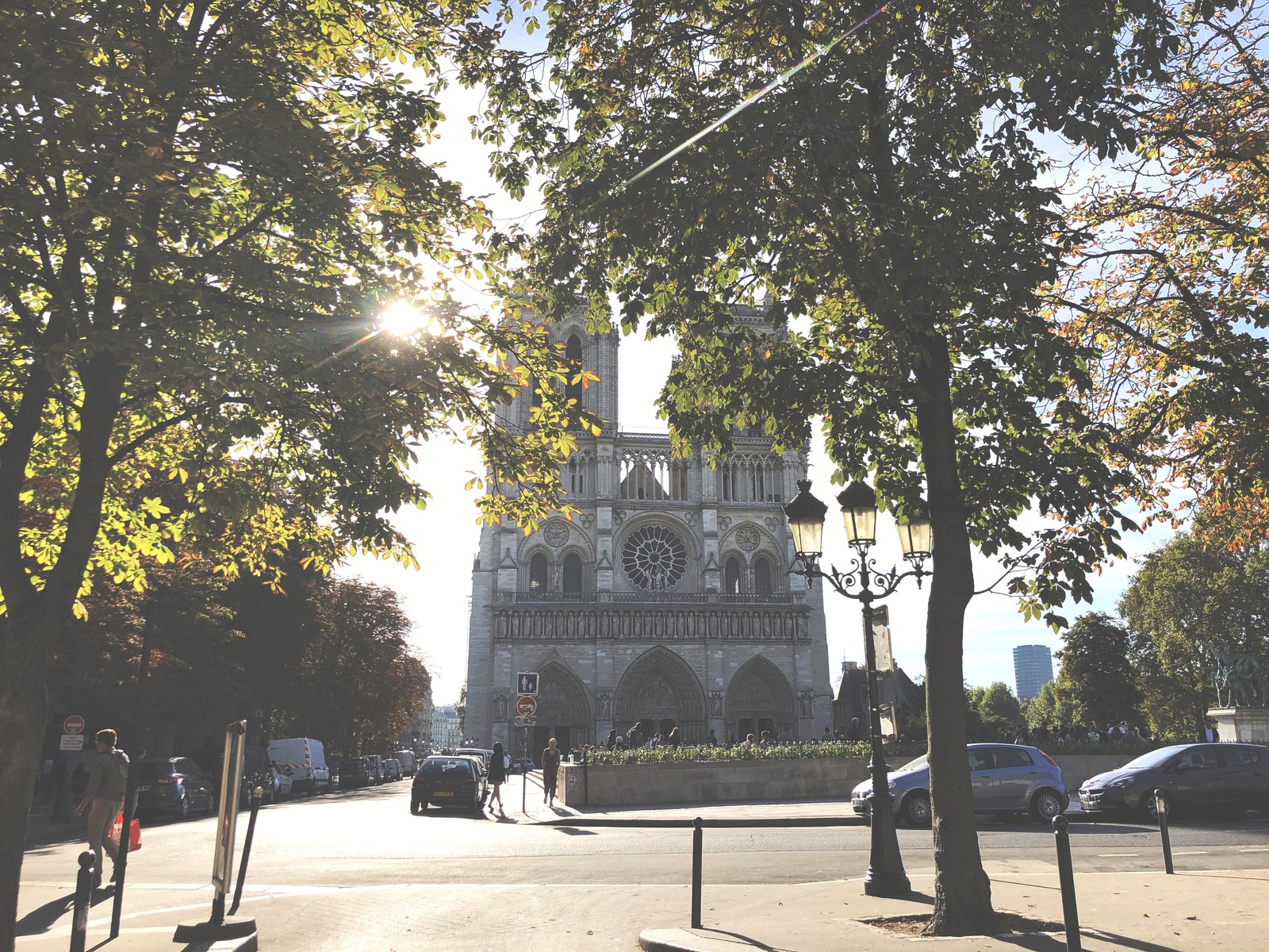 Vive la France! - My, Paris, France, Cityscapes, Town, The photo, Longpost, Street photography