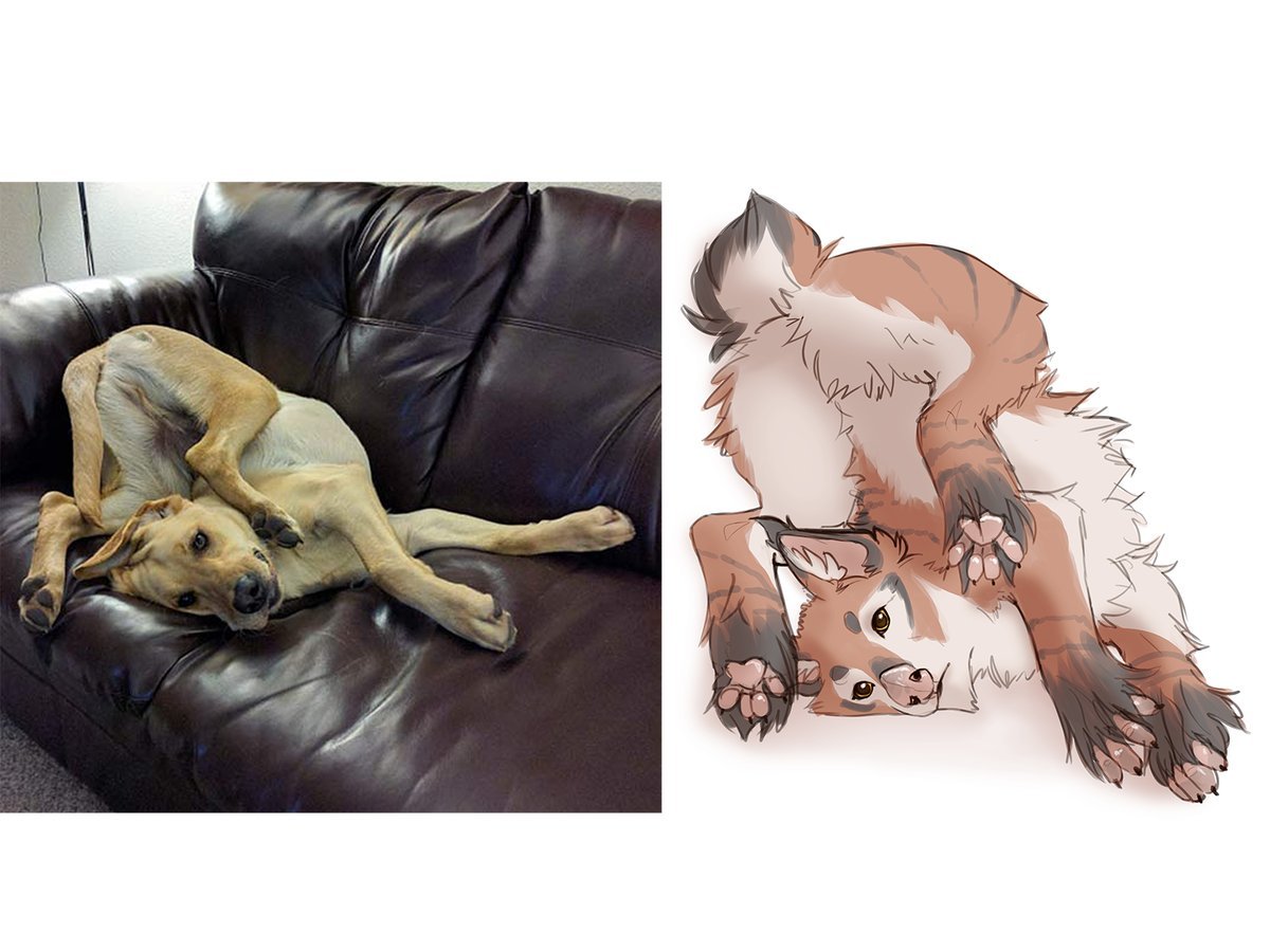 MEMEFRAME - Lynjox, Games, Warframe, Kubrow, Kavat, cat, Dog, Memes, Longpost